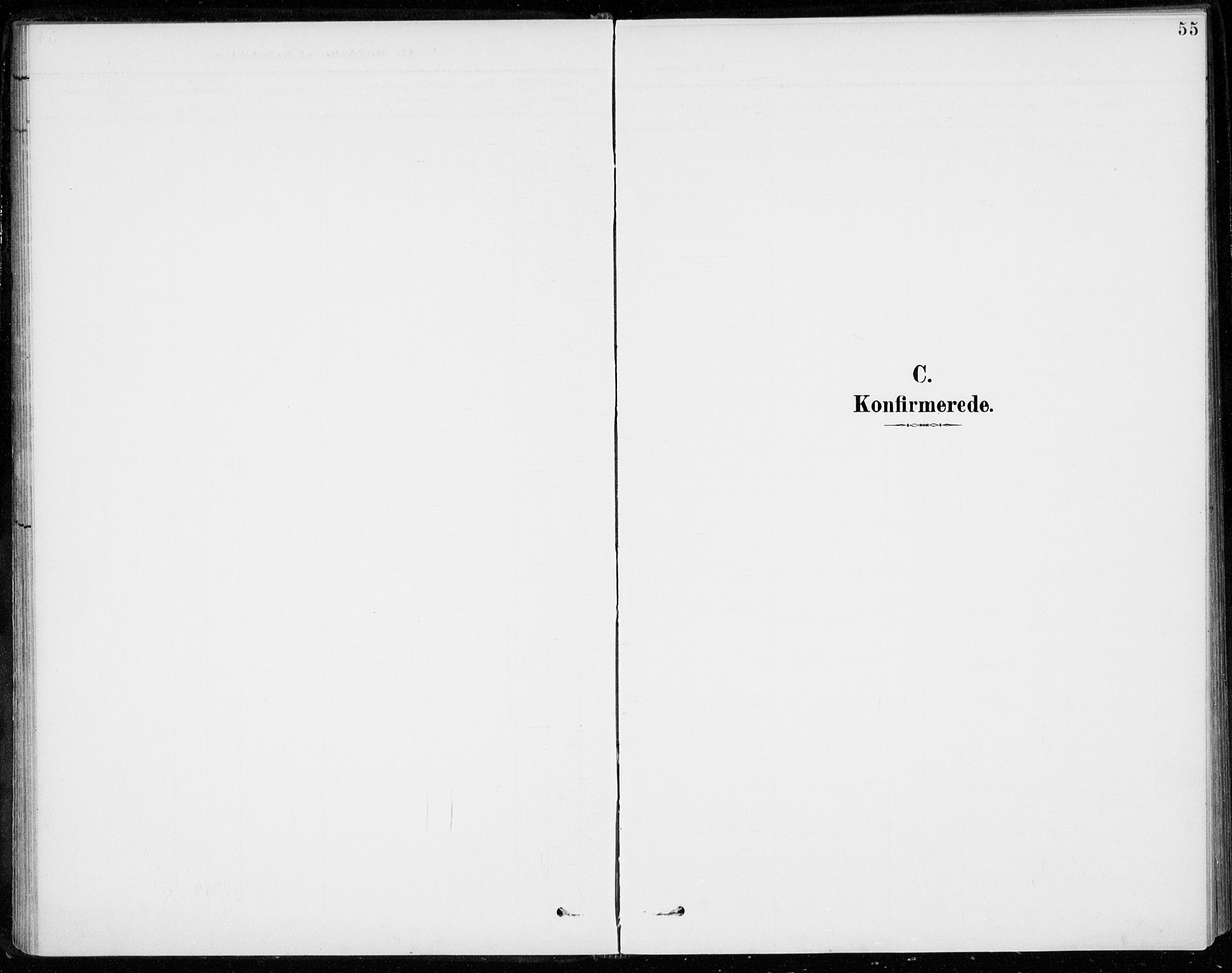 Sigdal kirkebøker, SAKO/A-245/F/Fc/L0002: Parish register (official) no. III 2, 1894-1911, p. 55