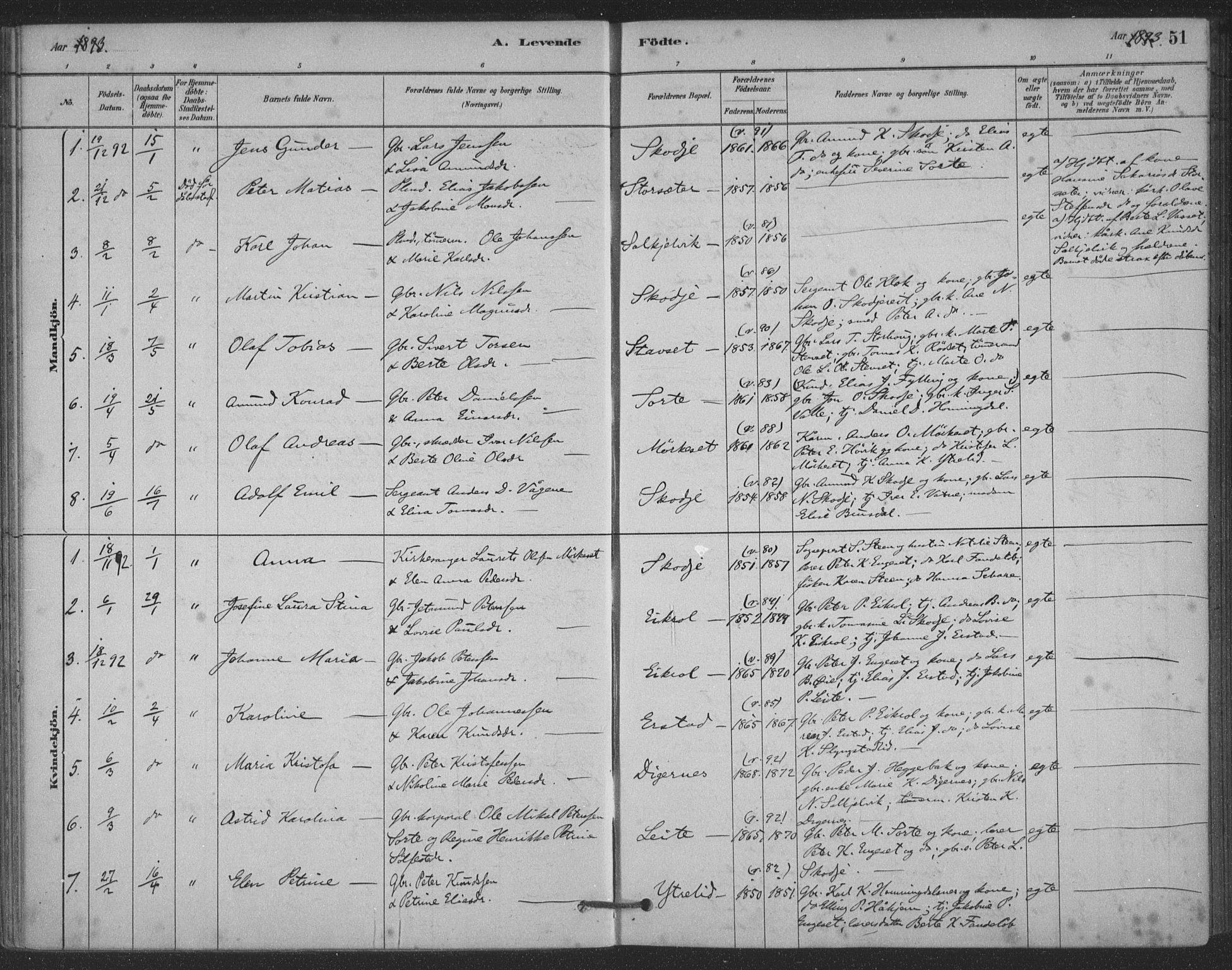 Ministerialprotokoller, klokkerbøker og fødselsregistre - Møre og Romsdal, AV/SAT-A-1454/524/L0356: Parish register (official) no. 524A08, 1880-1899, p. 51