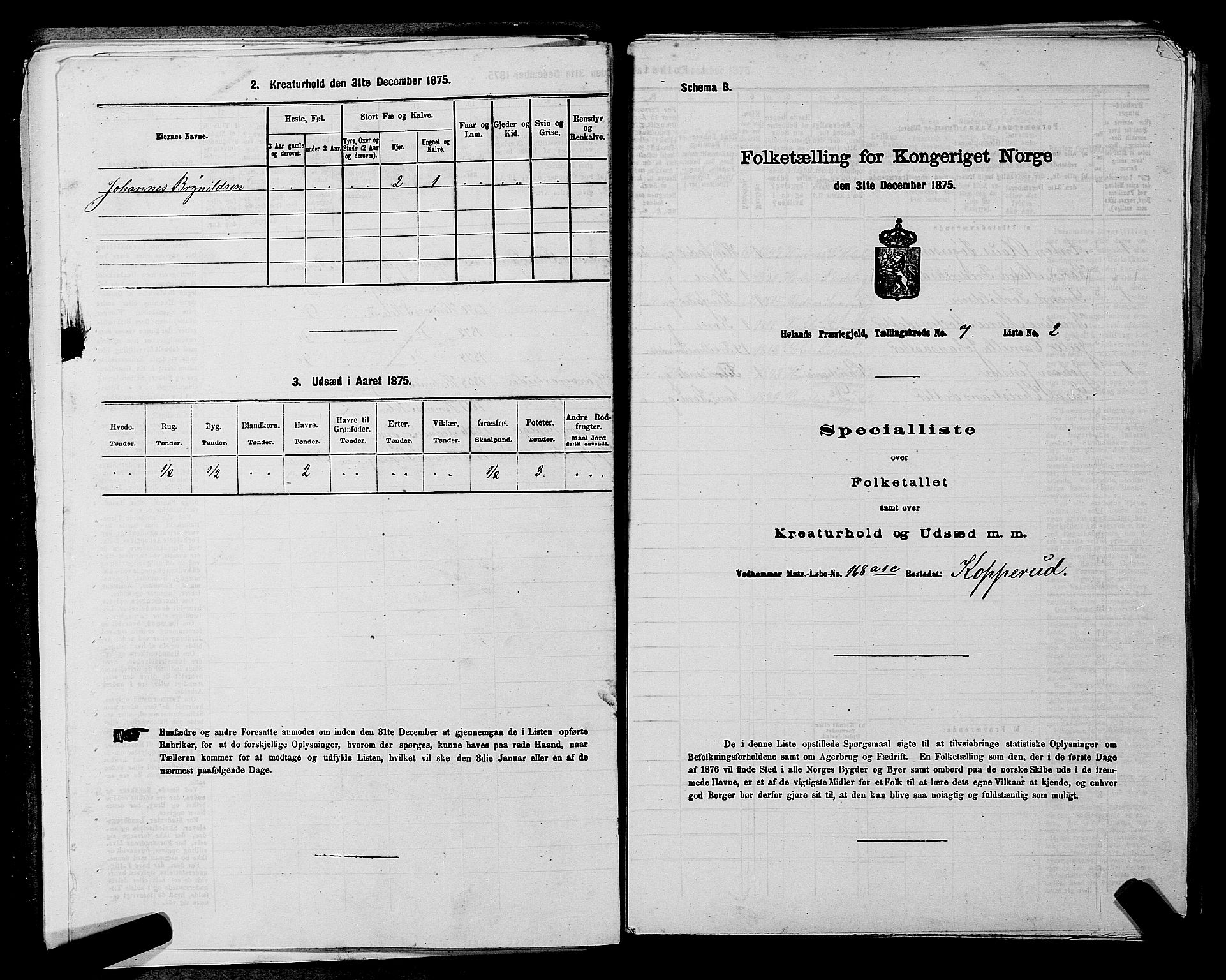 RA, 1875 census for 0221P Høland, 1875, p. 1239