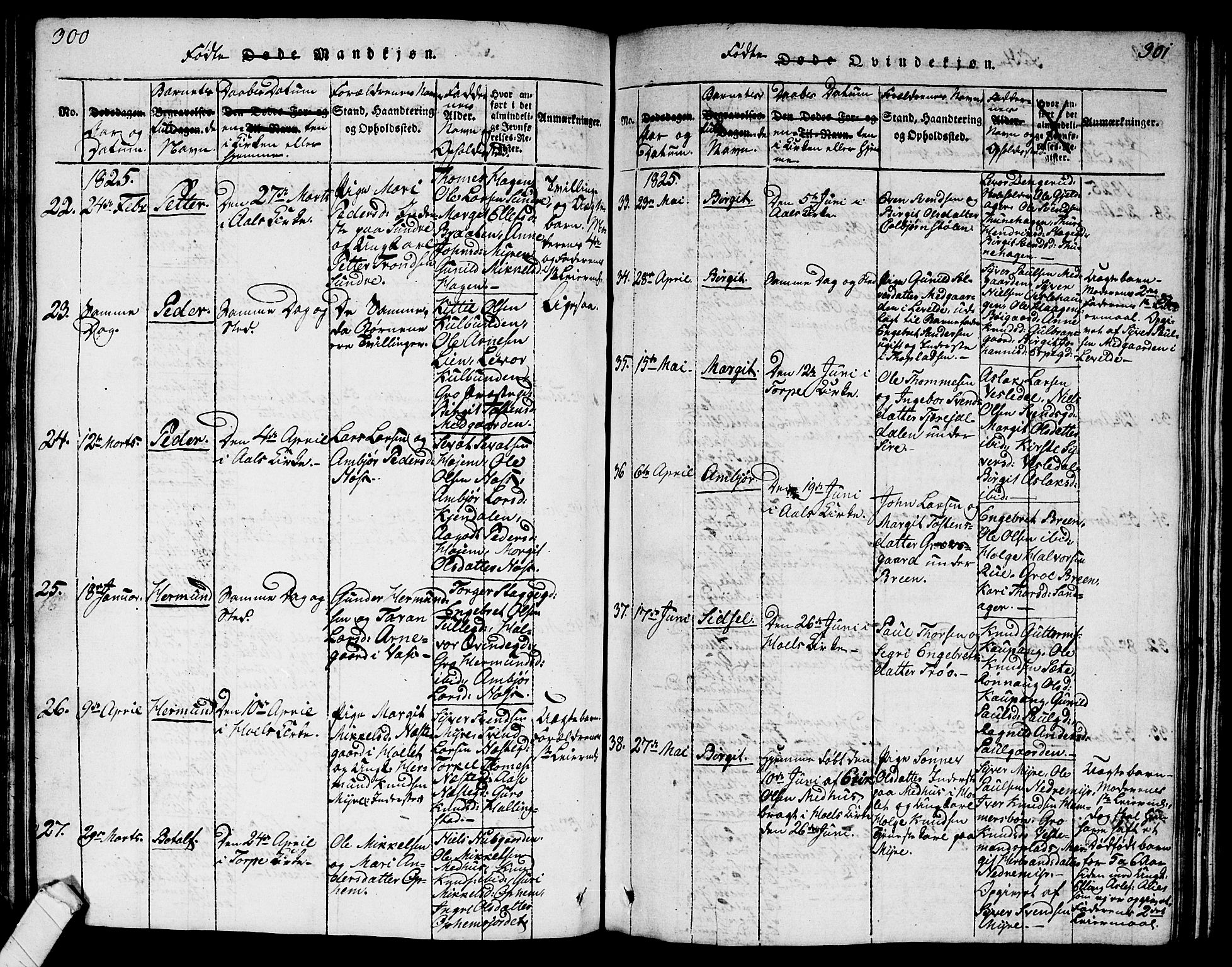 Ål kirkebøker, AV/SAKO-A-249/G/Ga/L0001: Parish register (copy) no. 1, 1815-1829, p. 300-301