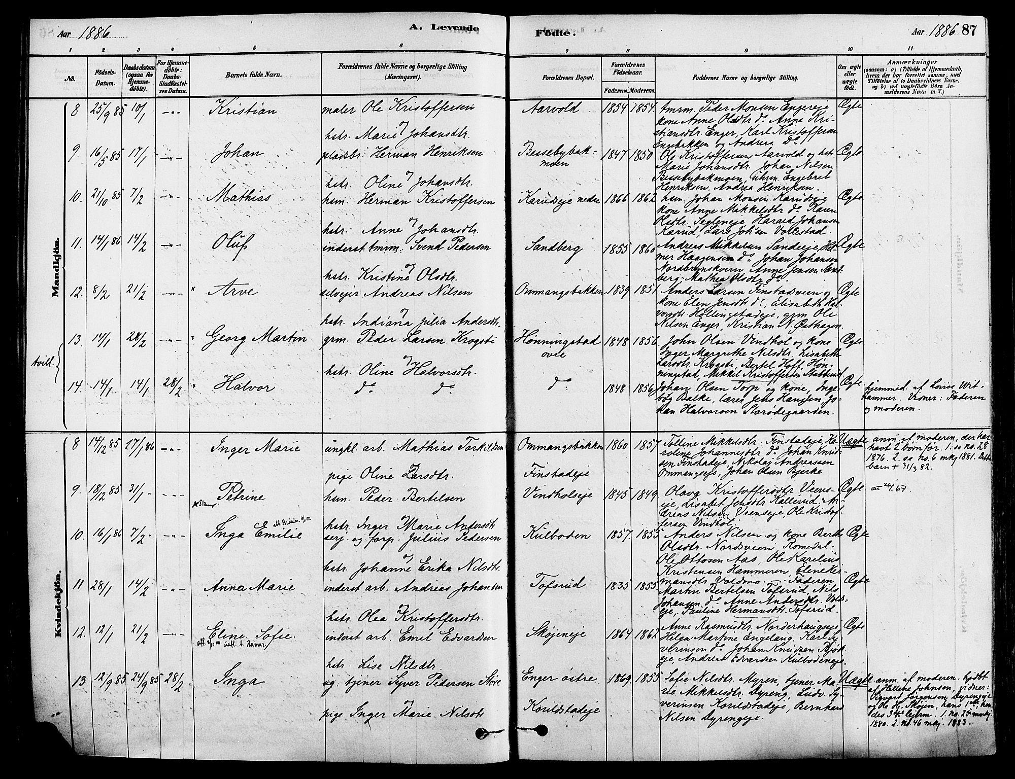 Løten prestekontor, AV/SAH-PREST-022/K/Ka/L0009: Parish register (official) no. 9, 1878-1891, p. 87