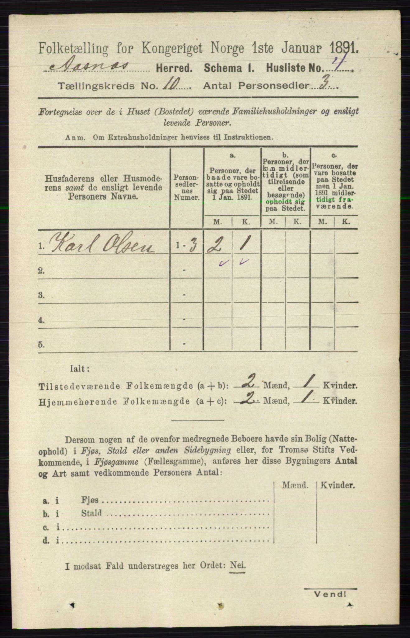 RA, 1891 census for 0425 Åsnes, 1891, p. 4992