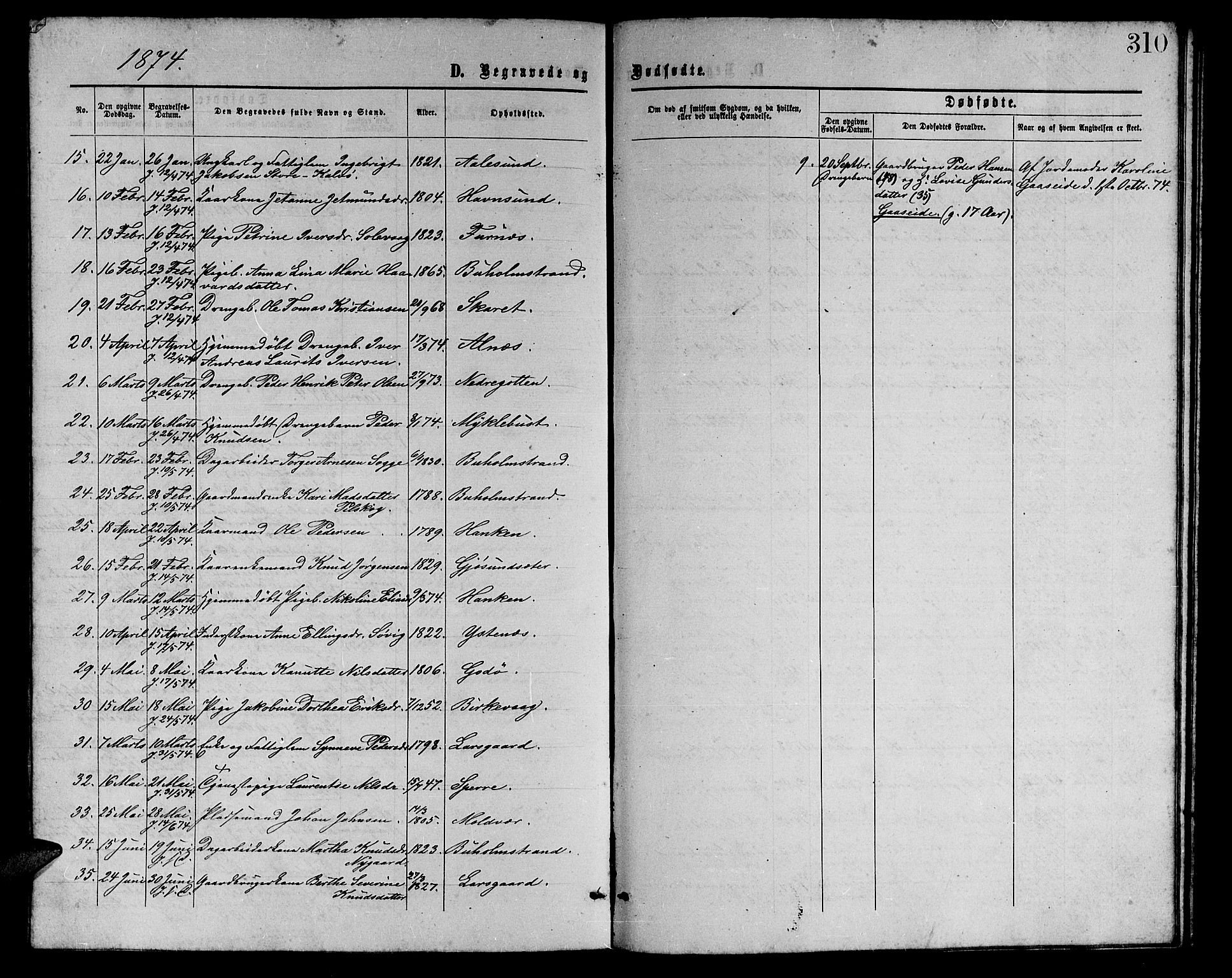 Ministerialprotokoller, klokkerbøker og fødselsregistre - Møre og Romsdal, AV/SAT-A-1454/528/L0428: Parish register (copy) no. 528C09, 1864-1880, p. 310