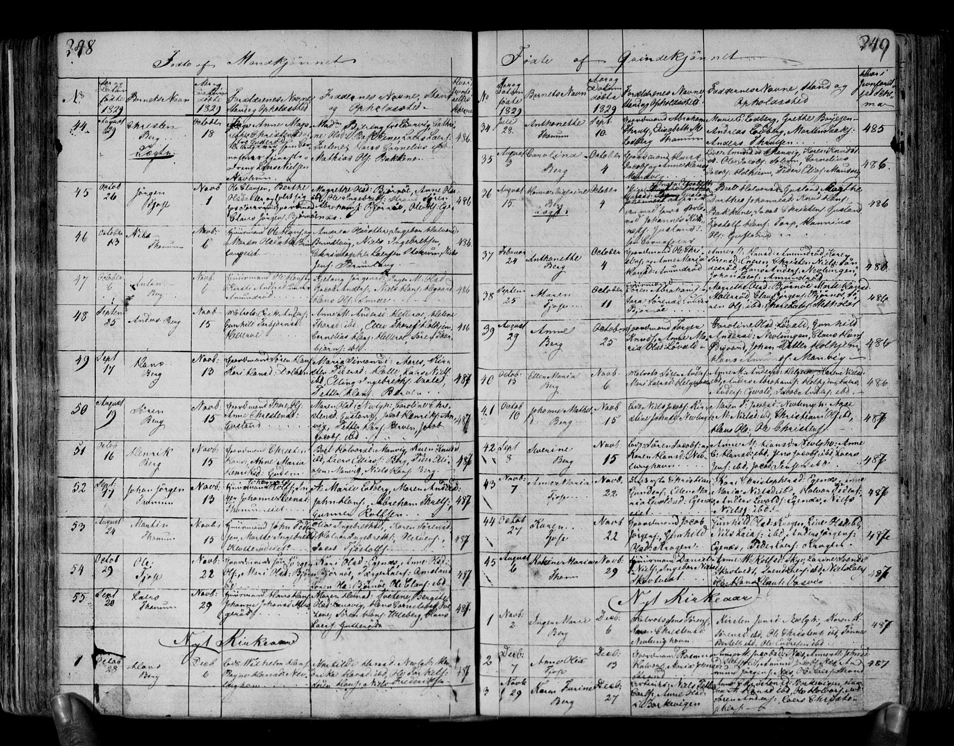 Brunlanes kirkebøker, AV/SAKO-A-342/F/Fa/L0002: Parish register (official) no. I 2, 1802-1834, p. 248-249