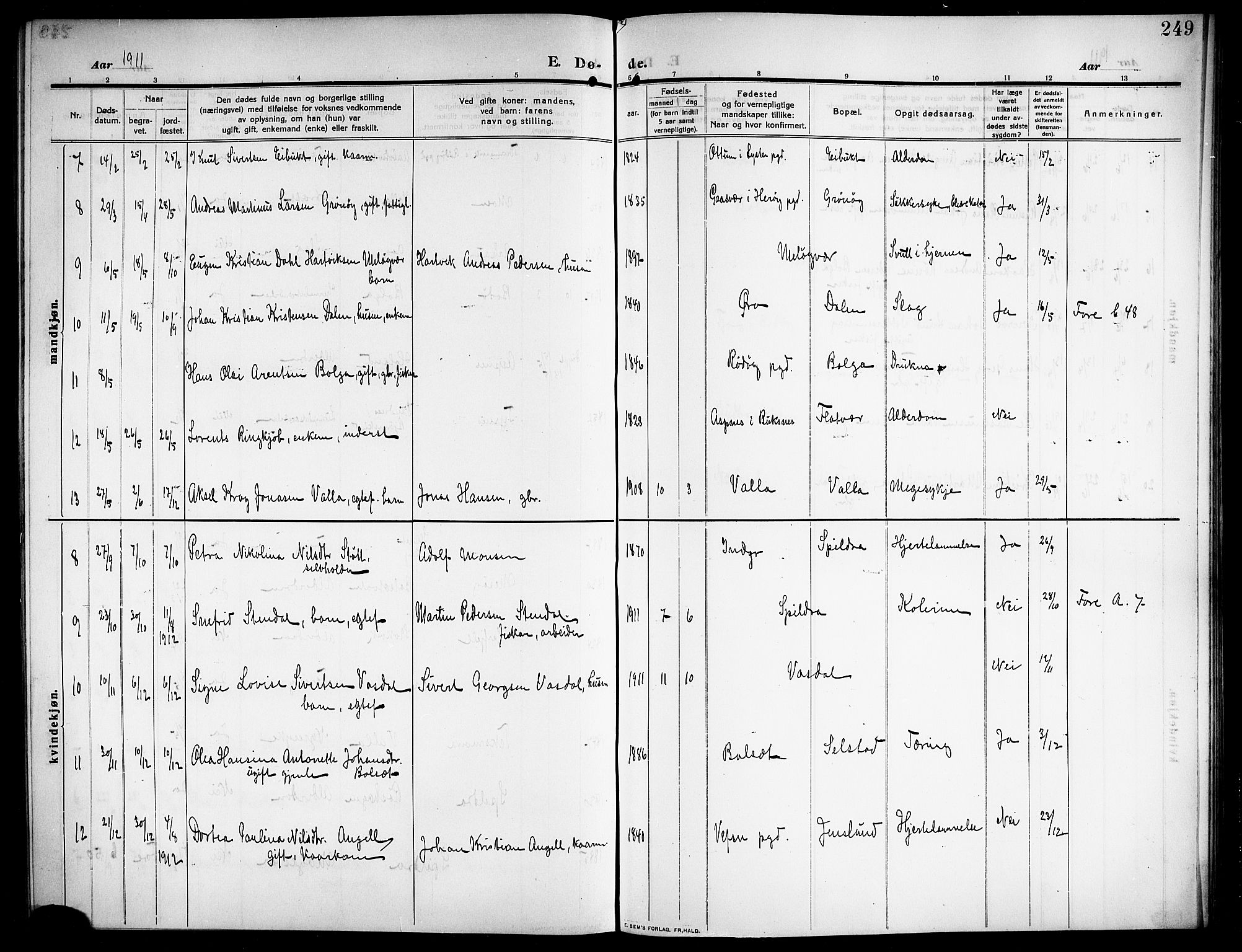 Ministerialprotokoller, klokkerbøker og fødselsregistre - Nordland, AV/SAT-A-1459/843/L0639: Parish register (copy) no. 843C08, 1908-1924, p. 249