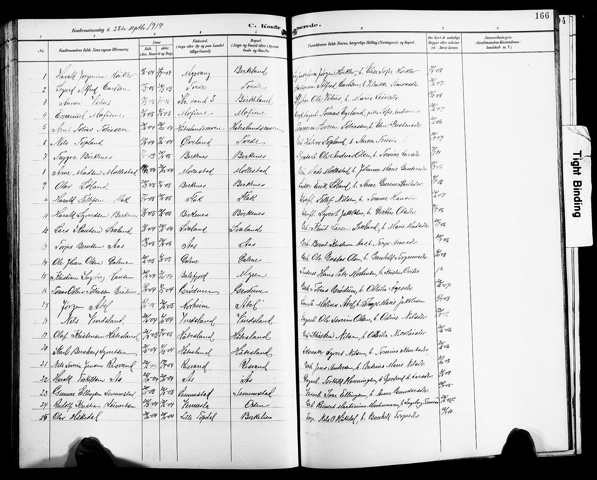 Birkenes sokneprestkontor, SAK/1111-0004/F/Fb/L0004: Parish register (copy) no. B 4, 1893-1930, p. 166