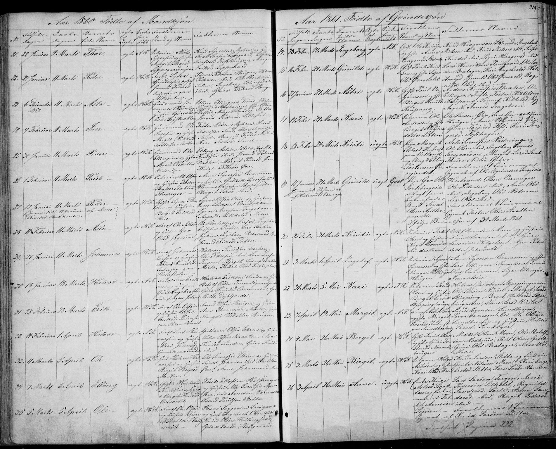 Ål kirkebøker, AV/SAKO-A-249/F/Fa/L0006: Parish register (official) no. I 6, 1849-1864, p. 219