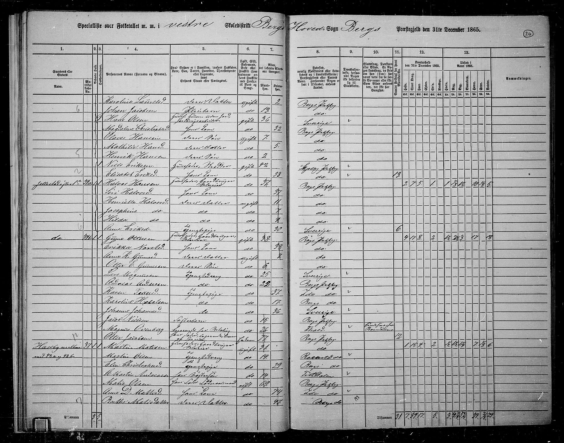 RA, 1865 census for Berg, 1865, p. 26