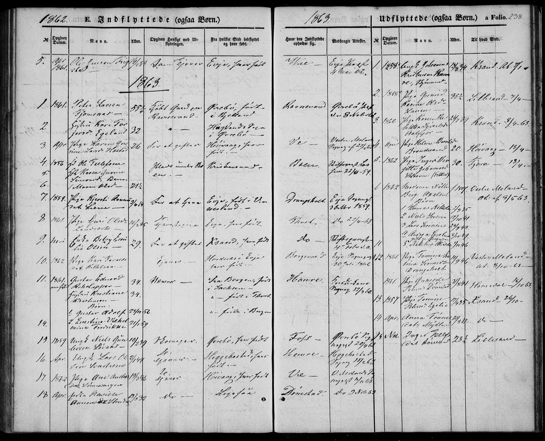 Tveit sokneprestkontor, AV/SAK-1111-0043/F/Fa/L0005: Parish register (official) no. A 5, 1853-1871, p. 238