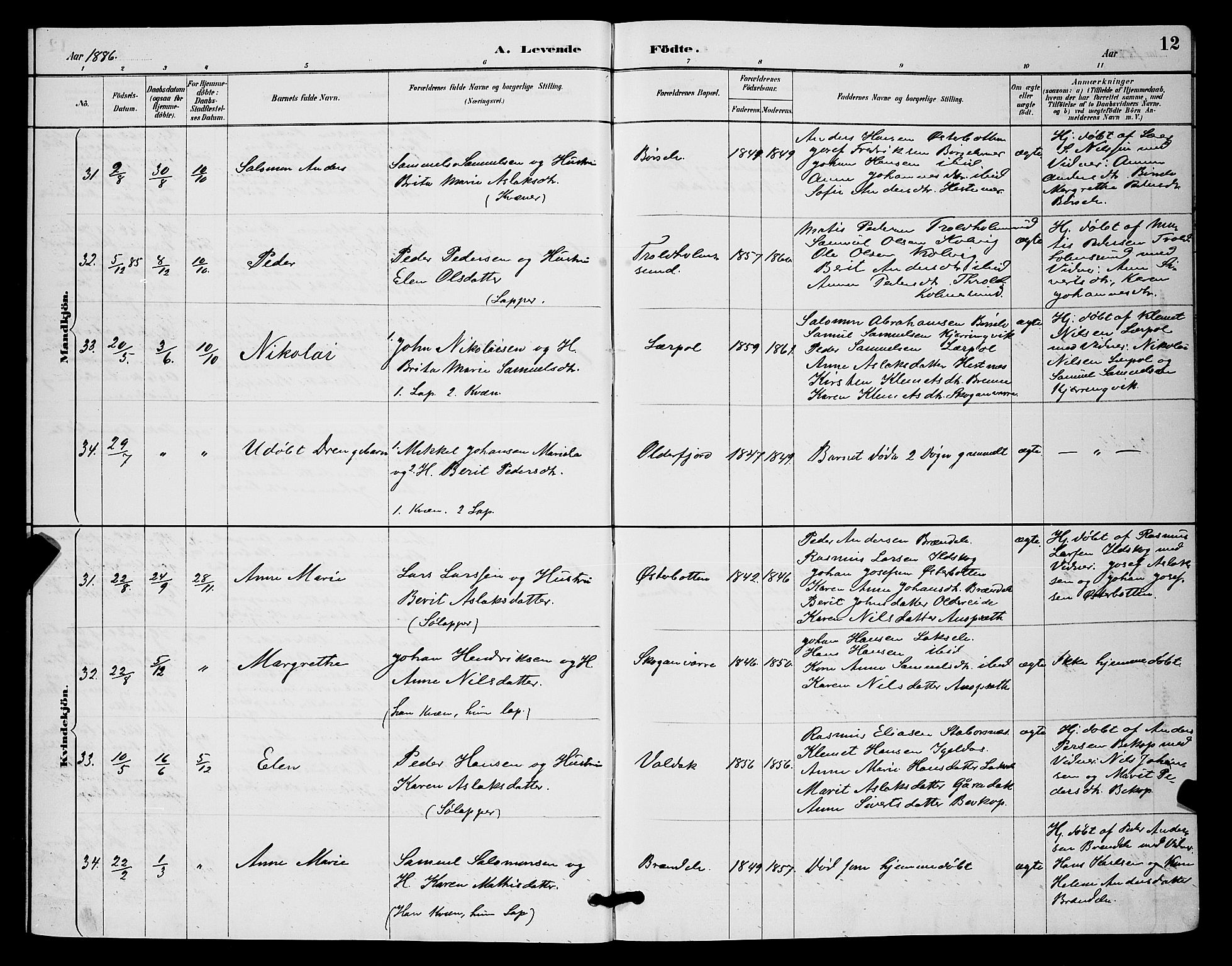 Kistrand/Porsanger sokneprestembete, AV/SATØ-S-1351/H/Hb/L0004.klokk: Parish register (copy) no. 4, 1885-1894, p. 12