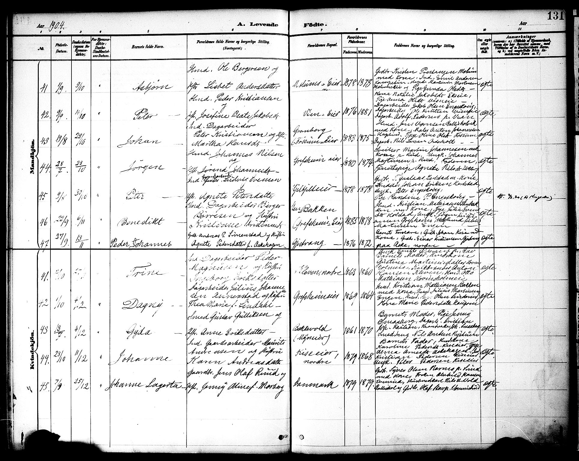 Nes prestekontor, Hedmark, AV/SAH-PREST-020/K/Ka/L0009: Parish register (official) no. 9, 1887-1905, p. 131