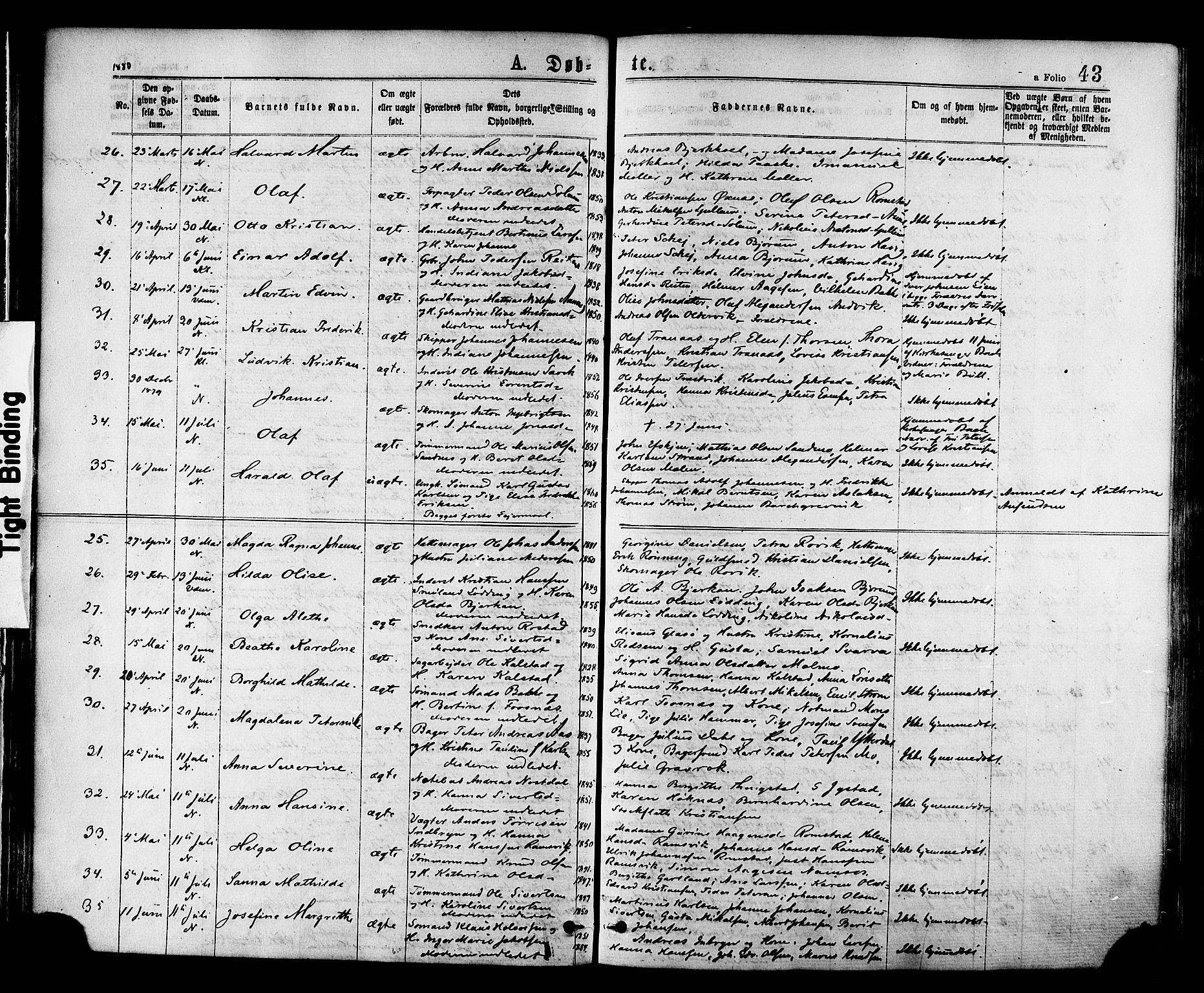 Ministerialprotokoller, klokkerbøker og fødselsregistre - Nord-Trøndelag, AV/SAT-A-1458/768/L0572: Parish register (official) no. 768A07, 1874-1886, p. 43
