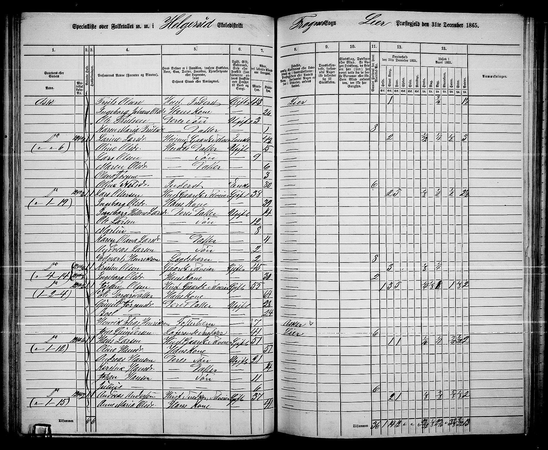 RA, 1865 census for Lier, 1865, p. 75