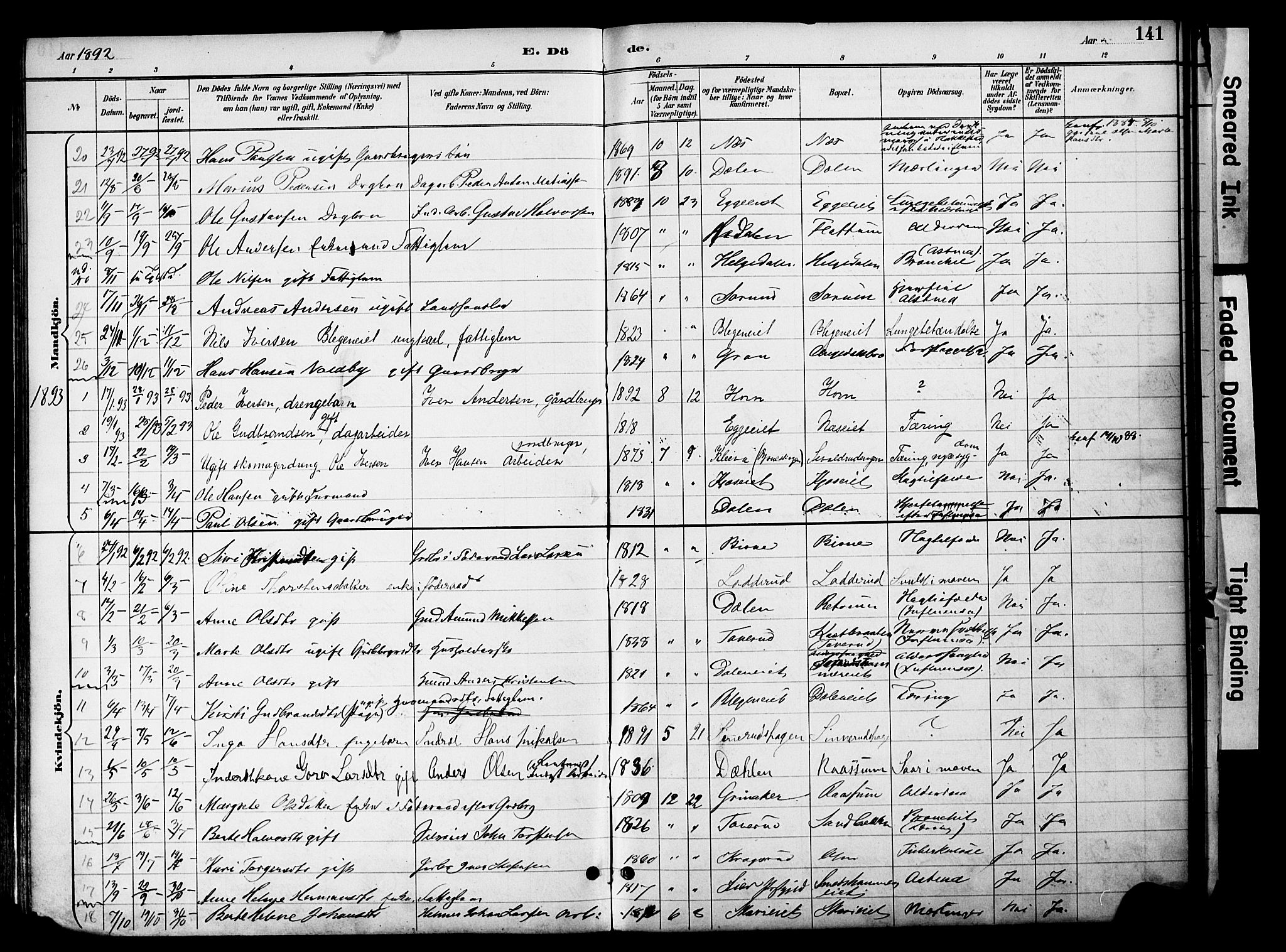 Gran prestekontor, SAH/PREST-112/H/Ha/Haa/L0020: Parish register (official) no. 20, 1889-1899, p. 141
