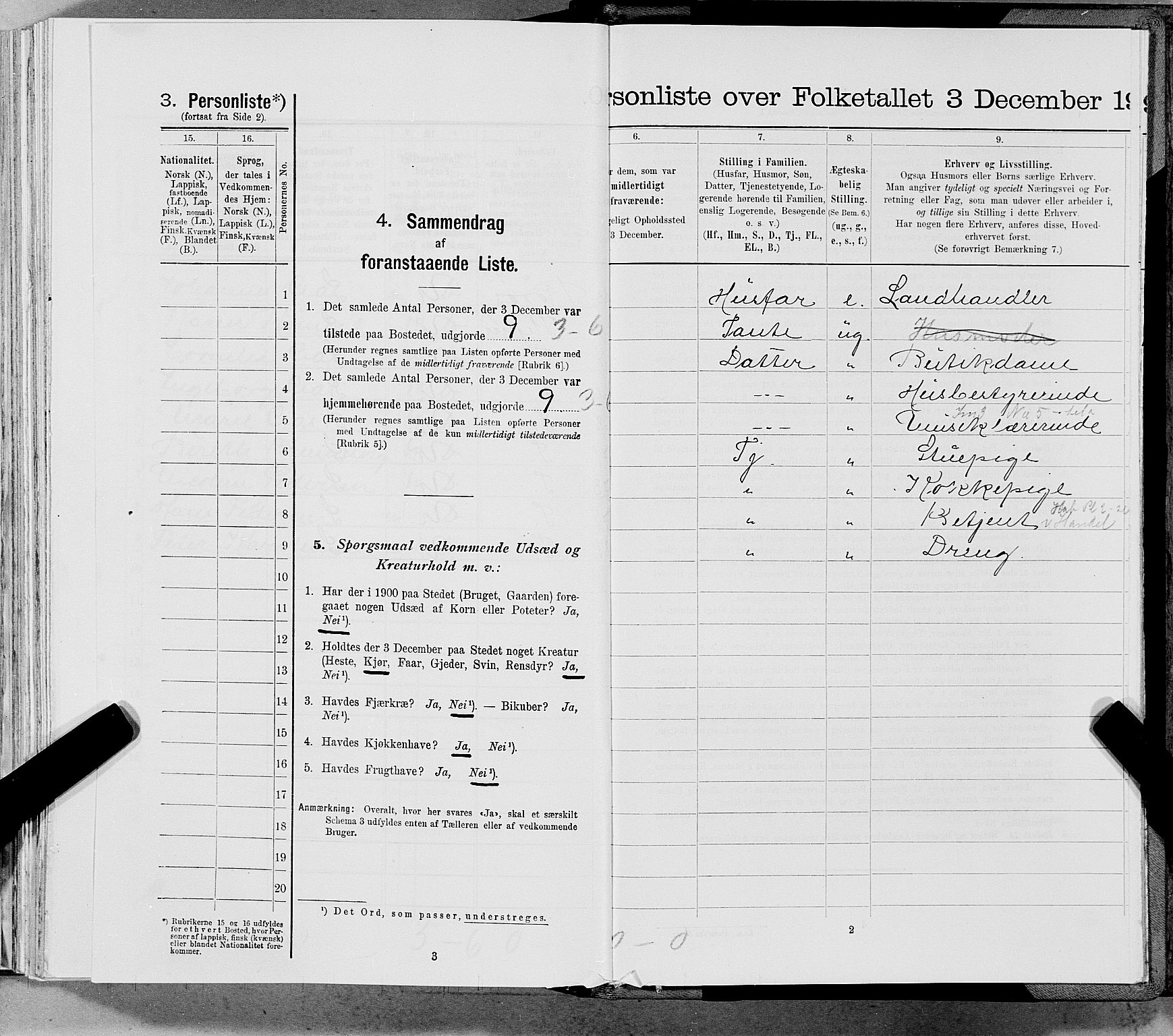 SAT, 1900 census for Hemnes, 1900, p. 1314