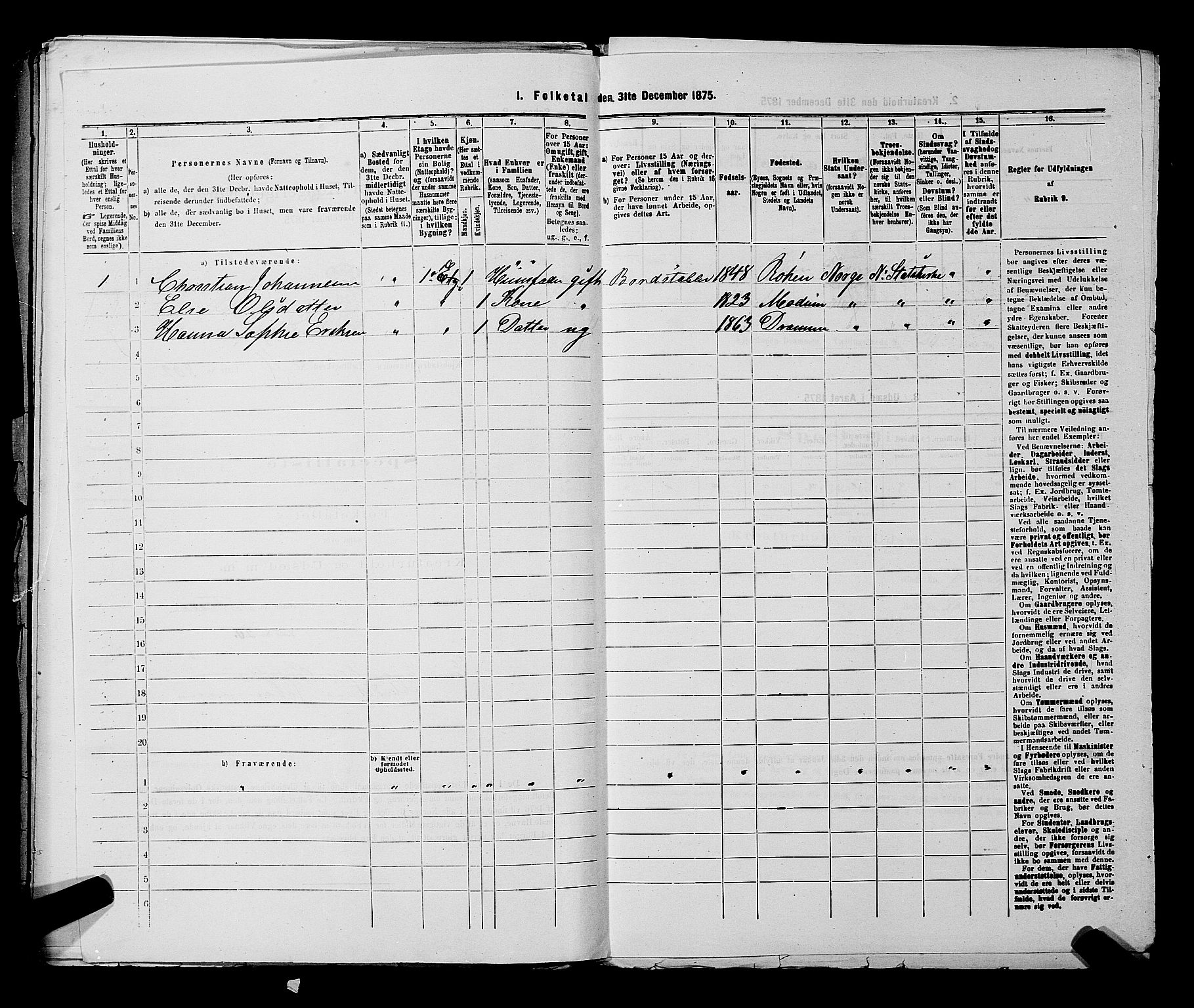 SAKO, 1875 census for 0602 Drammen, 1875, p. 2102