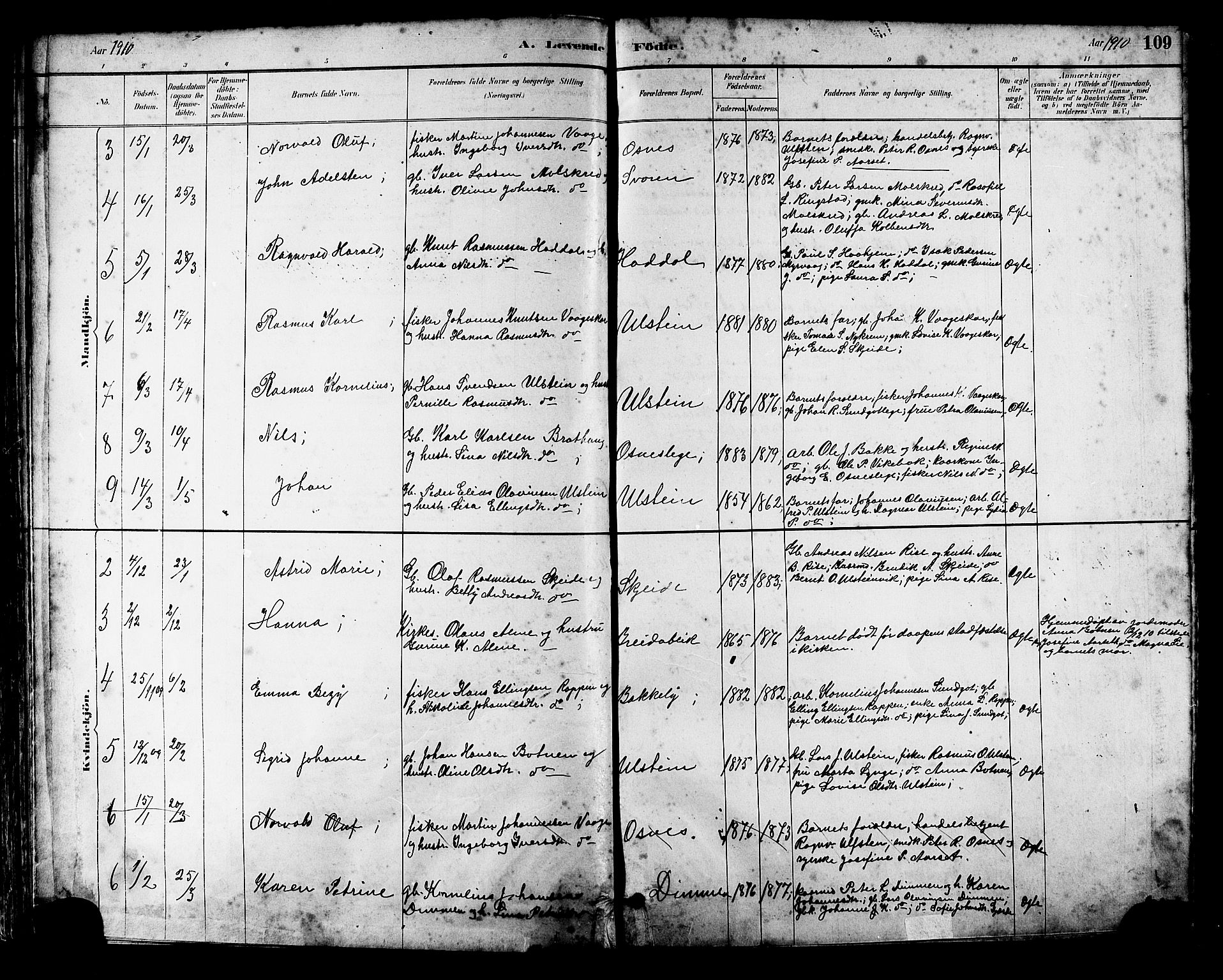 Ministerialprotokoller, klokkerbøker og fødselsregistre - Møre og Romsdal, AV/SAT-A-1454/509/L0112: Parish register (copy) no. 509C02, 1883-1922, p. 109