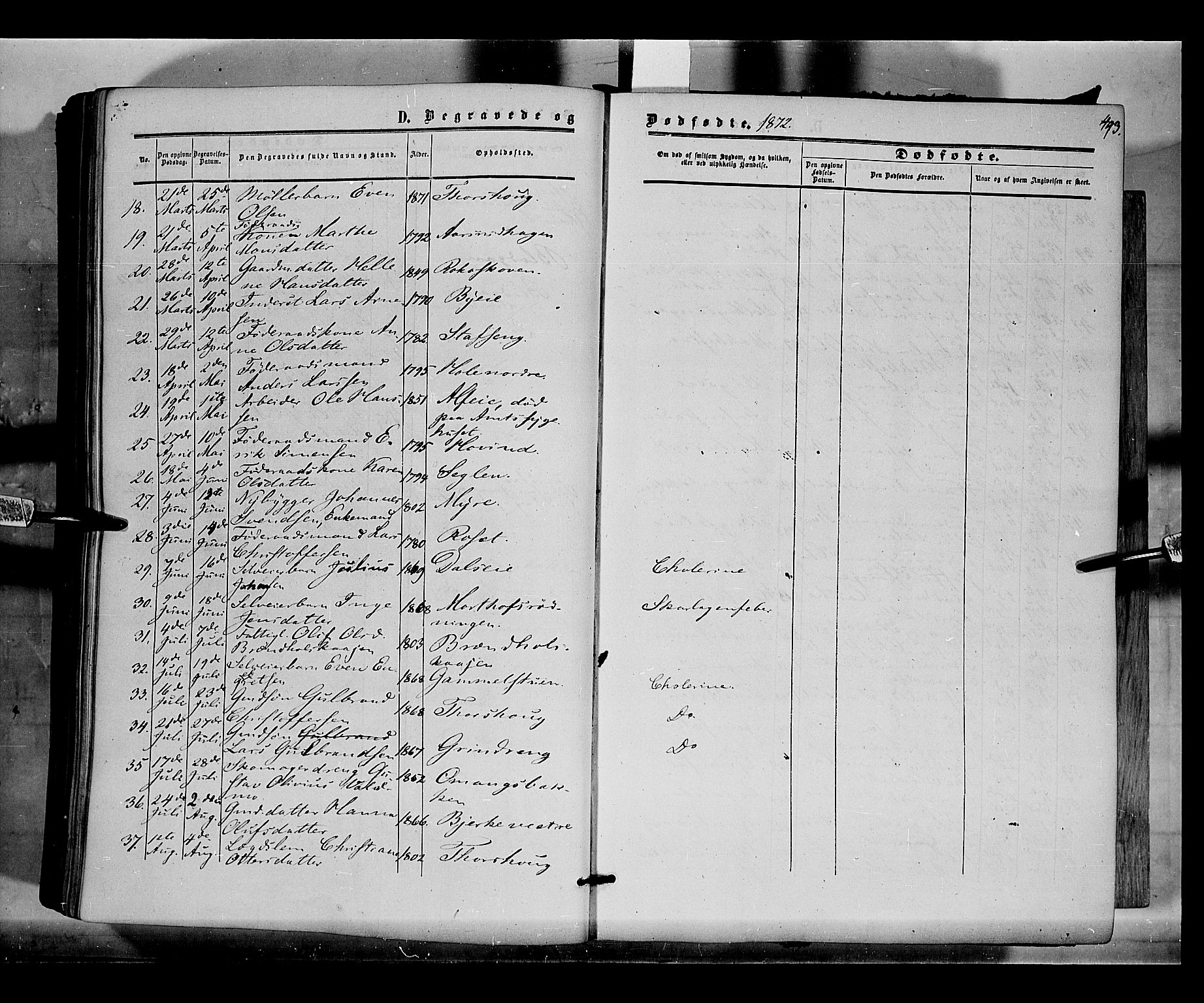 Løten prestekontor, SAH/PREST-022/K/Ka/L0008: Parish register (official) no. 8, 1860-1877, p. 493