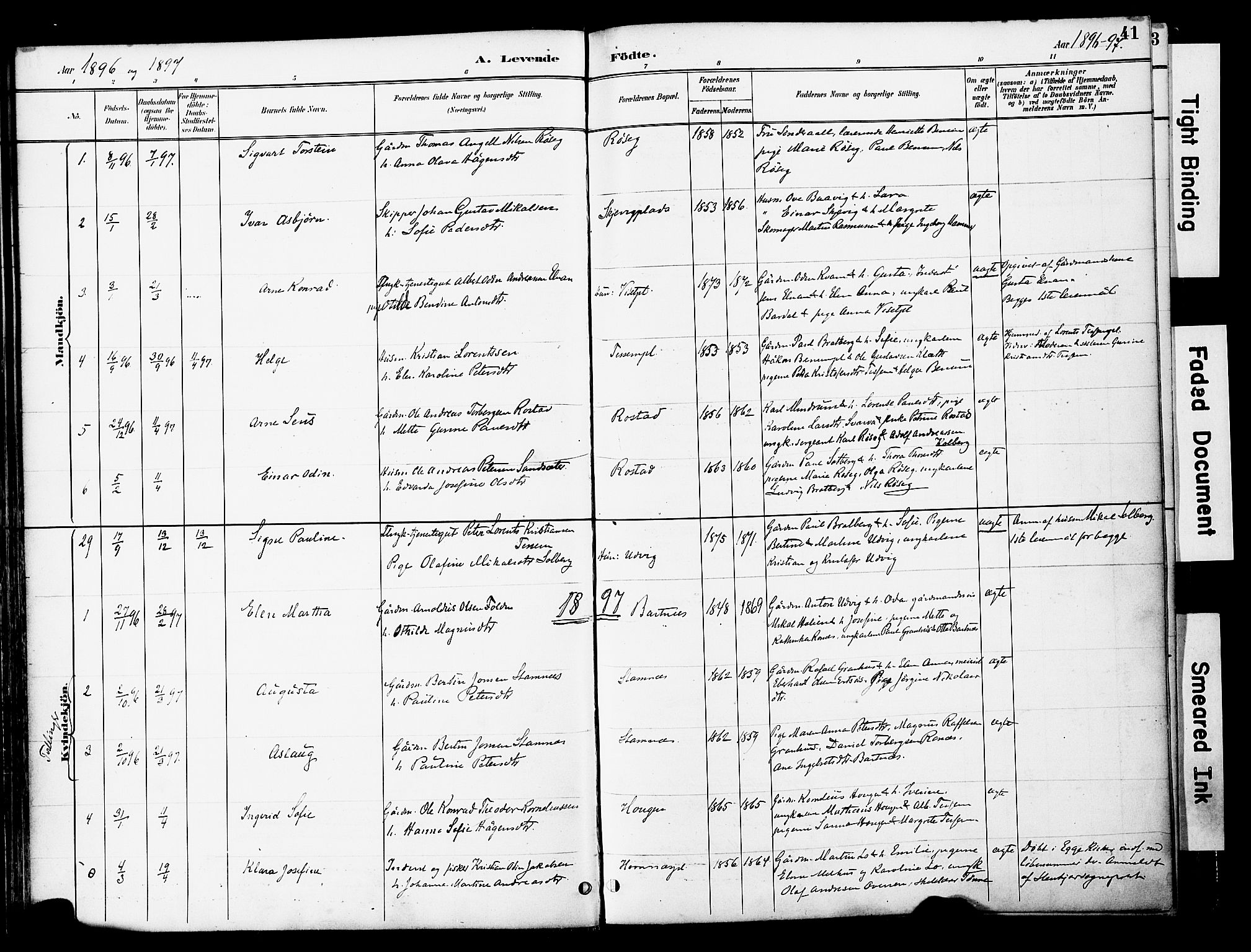 Ministerialprotokoller, klokkerbøker og fødselsregistre - Nord-Trøndelag, AV/SAT-A-1458/741/L0396: Parish register (official) no. 741A10, 1889-1901, p. 41