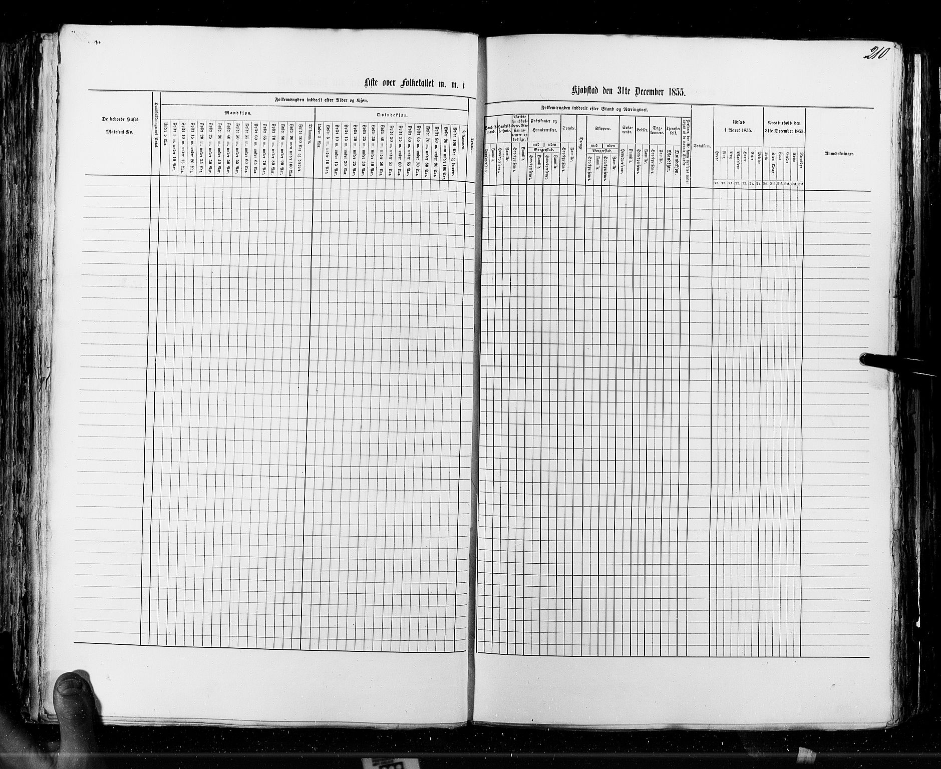 RA, Census 1855, vol. 7: Fredrikshald-Kragerø, 1855, p. 210