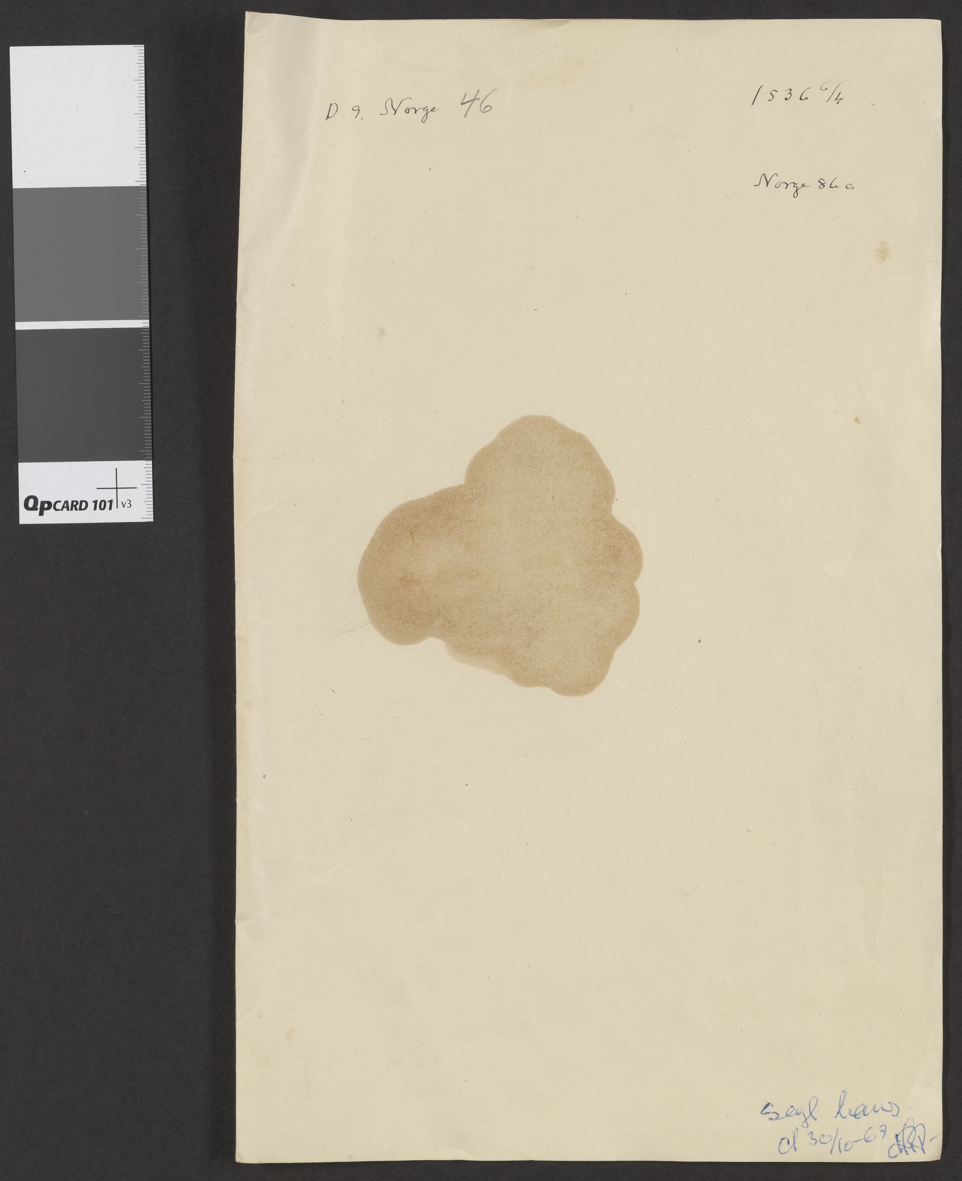 Riksarkivets diplomsamling, AV/RA-EA-5965/F06/L0049: Dokument nr. 86a, 1536
