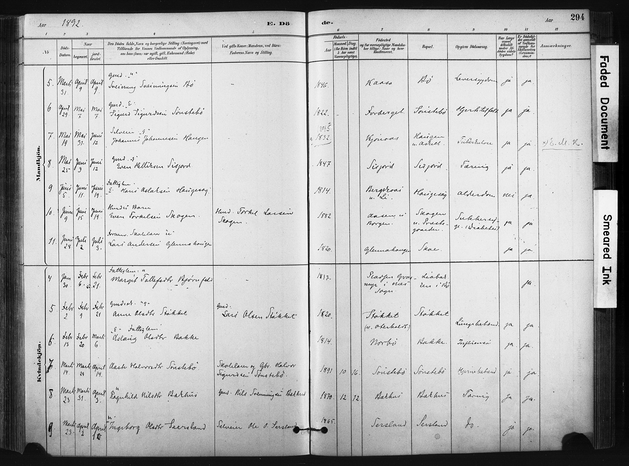 Bø kirkebøker, SAKO/A-257/F/Fa/L0010: Parish register (official) no. 10, 1880-1892, p. 294