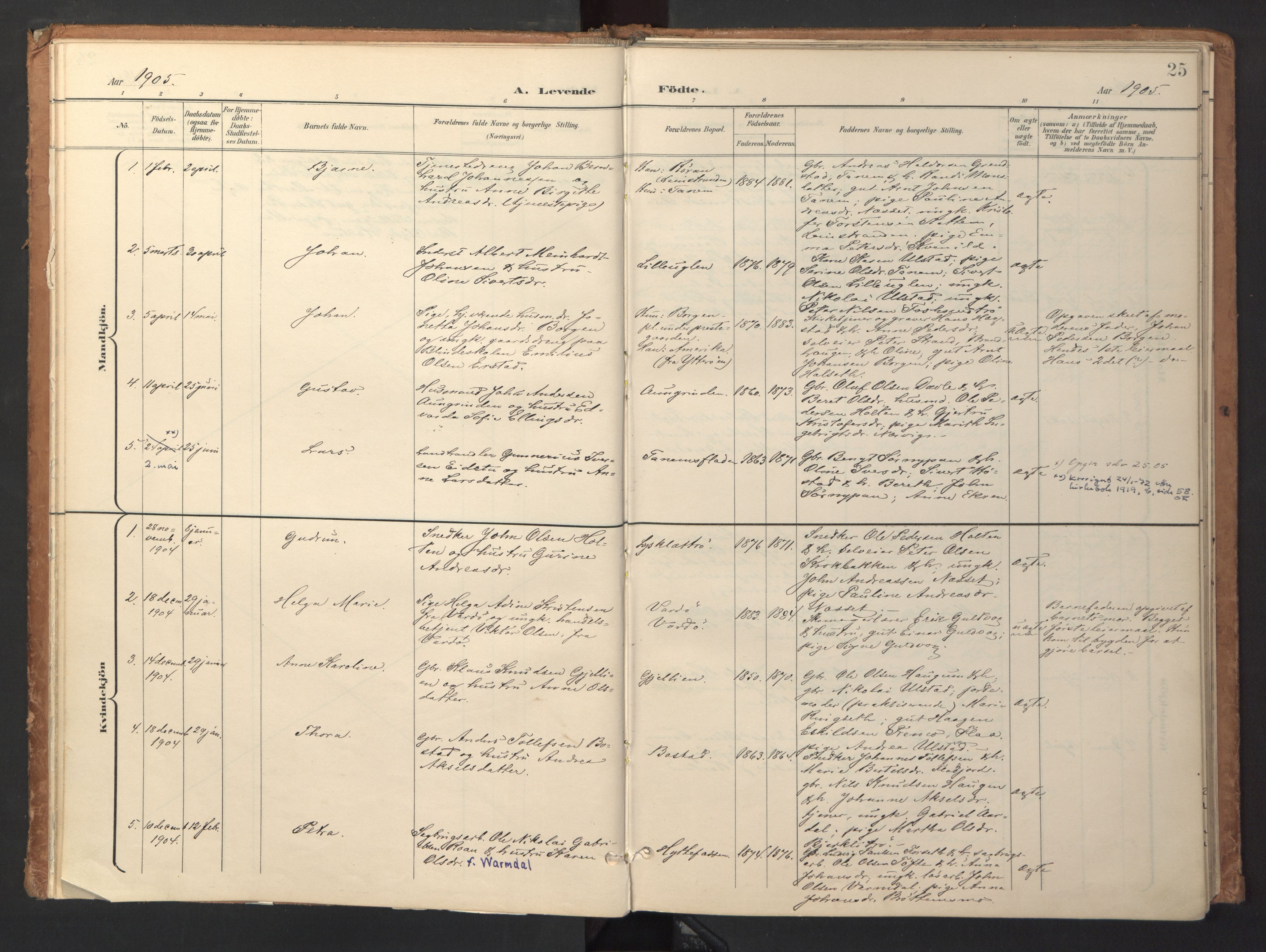 Ministerialprotokoller, klokkerbøker og fødselsregistre - Sør-Trøndelag, SAT/A-1456/618/L0448: Parish register (official) no. 618A11, 1898-1916, p. 25