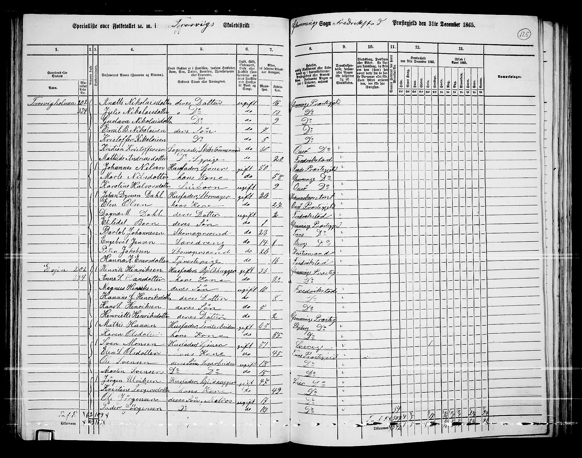 RA, 1865 census for Fredrikstad/Glemmen, 1865, p. 121