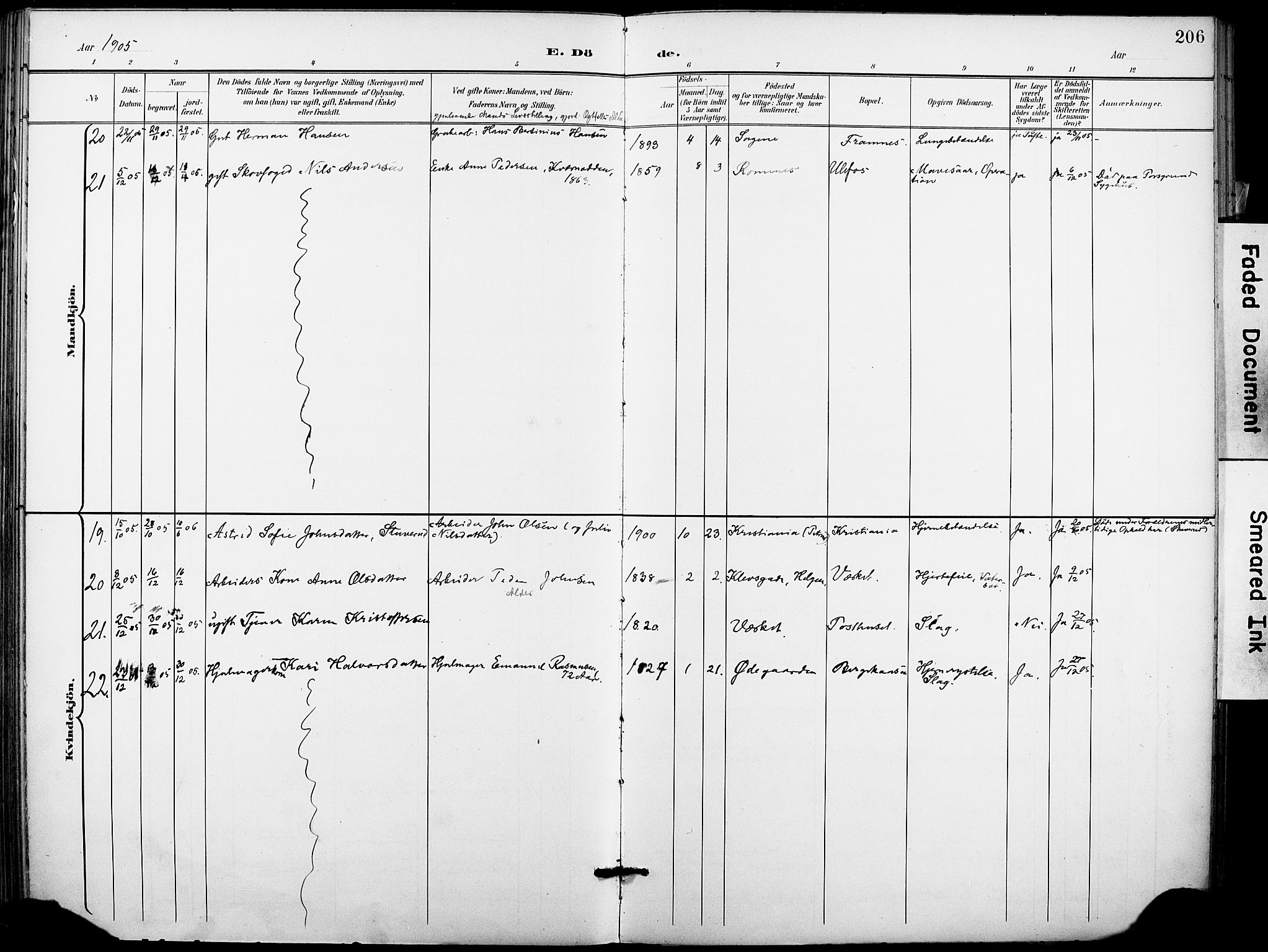 Holla kirkebøker, SAKO/A-272/F/Fa/L0010: Parish register (official) no. 10, 1897-1907, p. 206