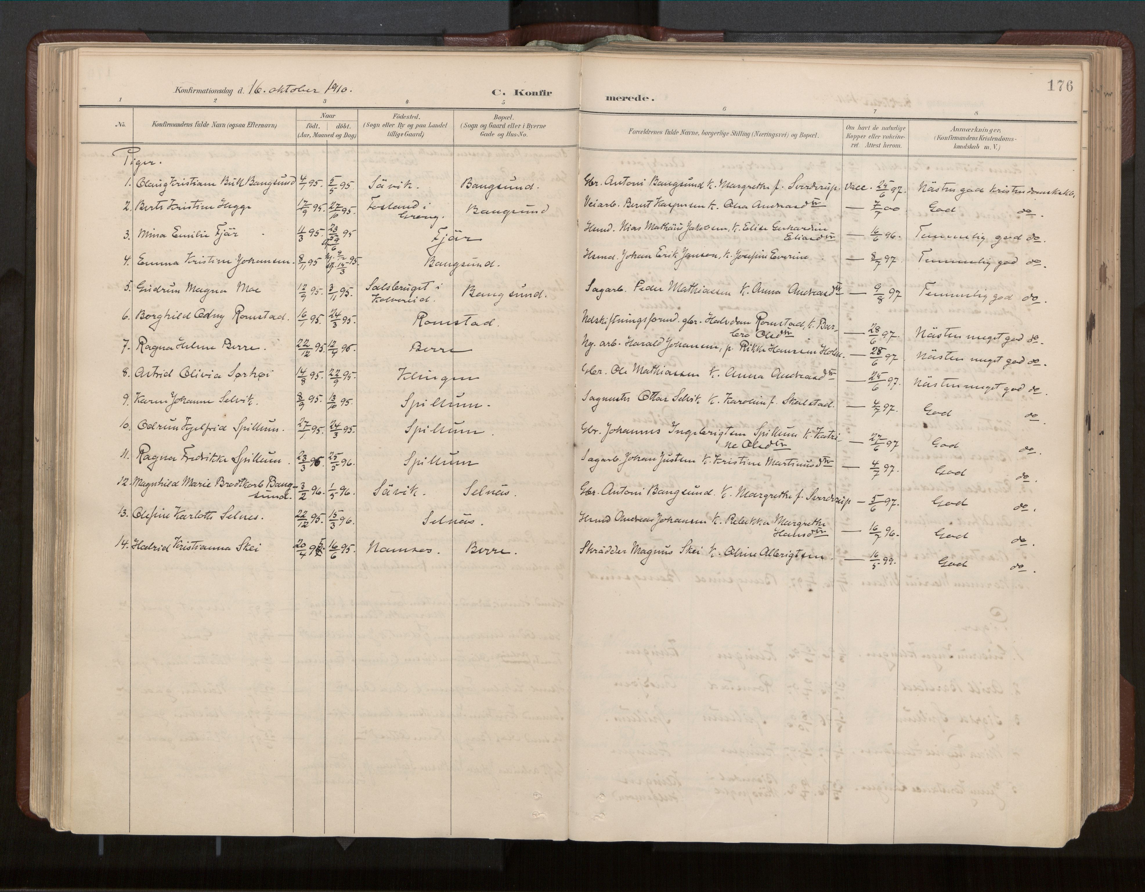 Ministerialprotokoller, klokkerbøker og fødselsregistre - Nord-Trøndelag, SAT/A-1458/770/L0589: Parish register (official) no. 770A03, 1887-1929, p. 176
