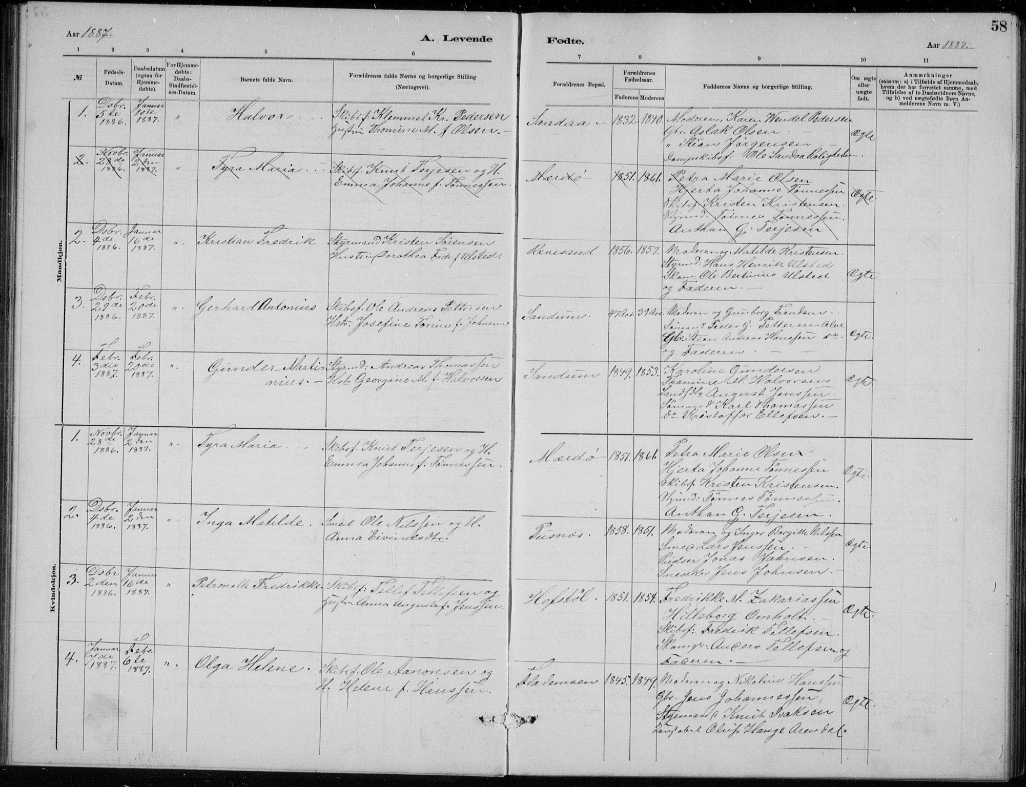 Tromøy sokneprestkontor, SAK/1111-0041/F/Fb/L0005: Parish register (copy) no. B 5, 1877-1891, p. 58