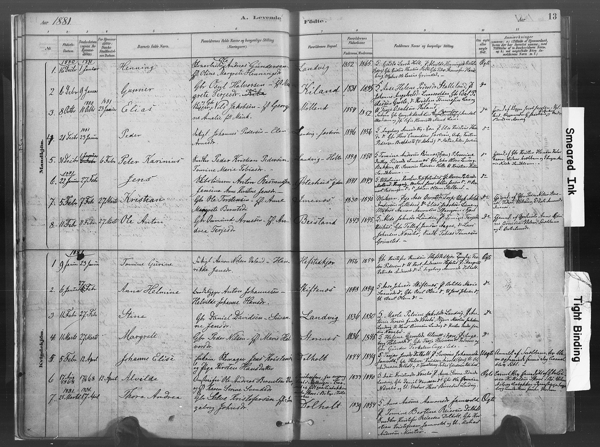 Hommedal sokneprestkontor, AV/SAK-1111-0023/F/Fa/Fab/L0006: Parish register (official) no. A 6, 1878-1897, p. 13