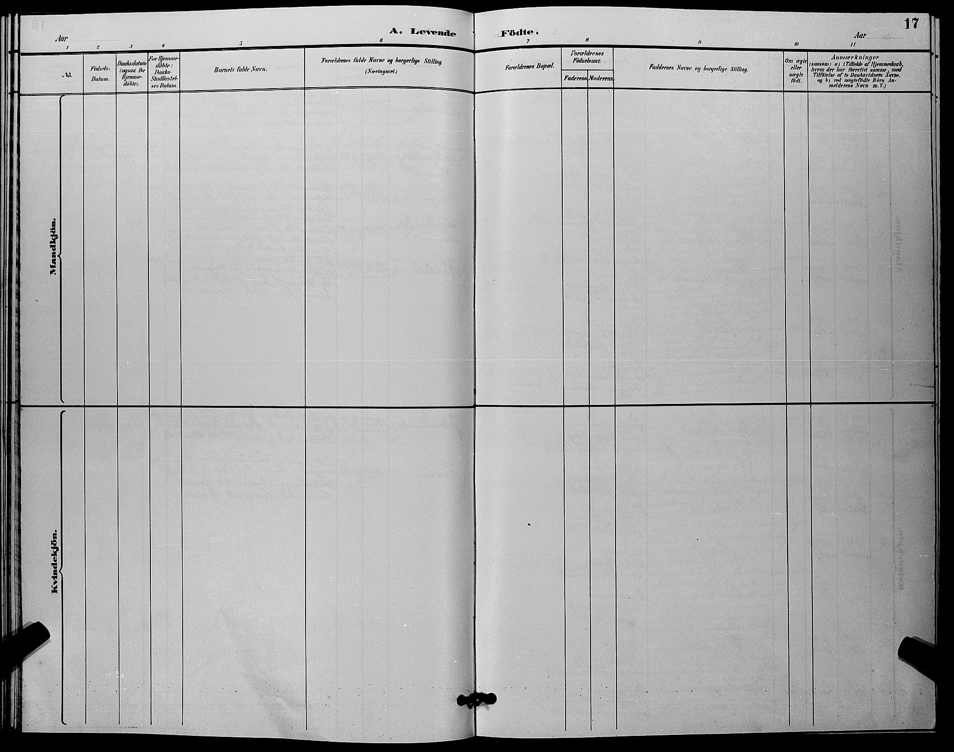 Flesberg kirkebøker, SAKO/A-18/G/Ga/L0004: Parish register (copy) no. I 4 /1, 1890-1898, p. 17