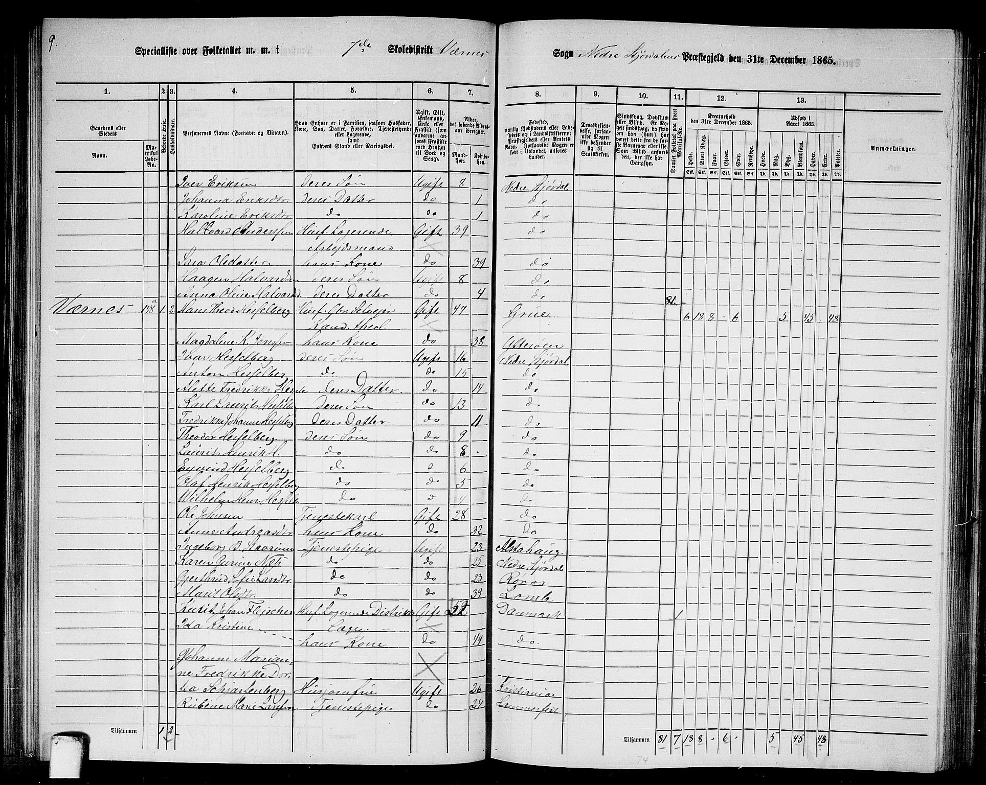 RA, 1865 census for Nedre Stjørdal, 1865, p. 135