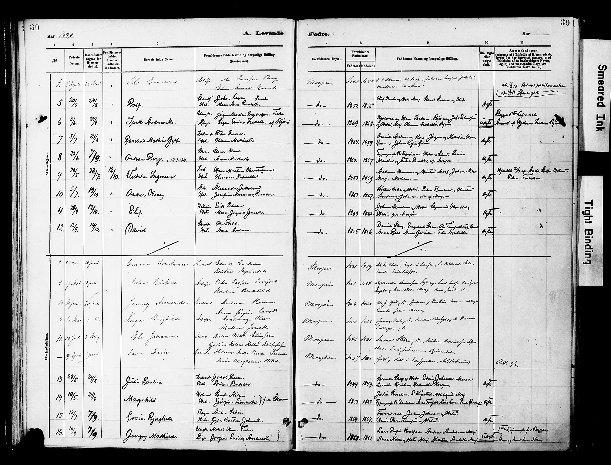 Ministerialprotokoller, klokkerbøker og fødselsregistre - Nordland, AV/SAT-A-1459/820/L0296: Parish register (official) no. 820A17, 1880-1903, p. 30