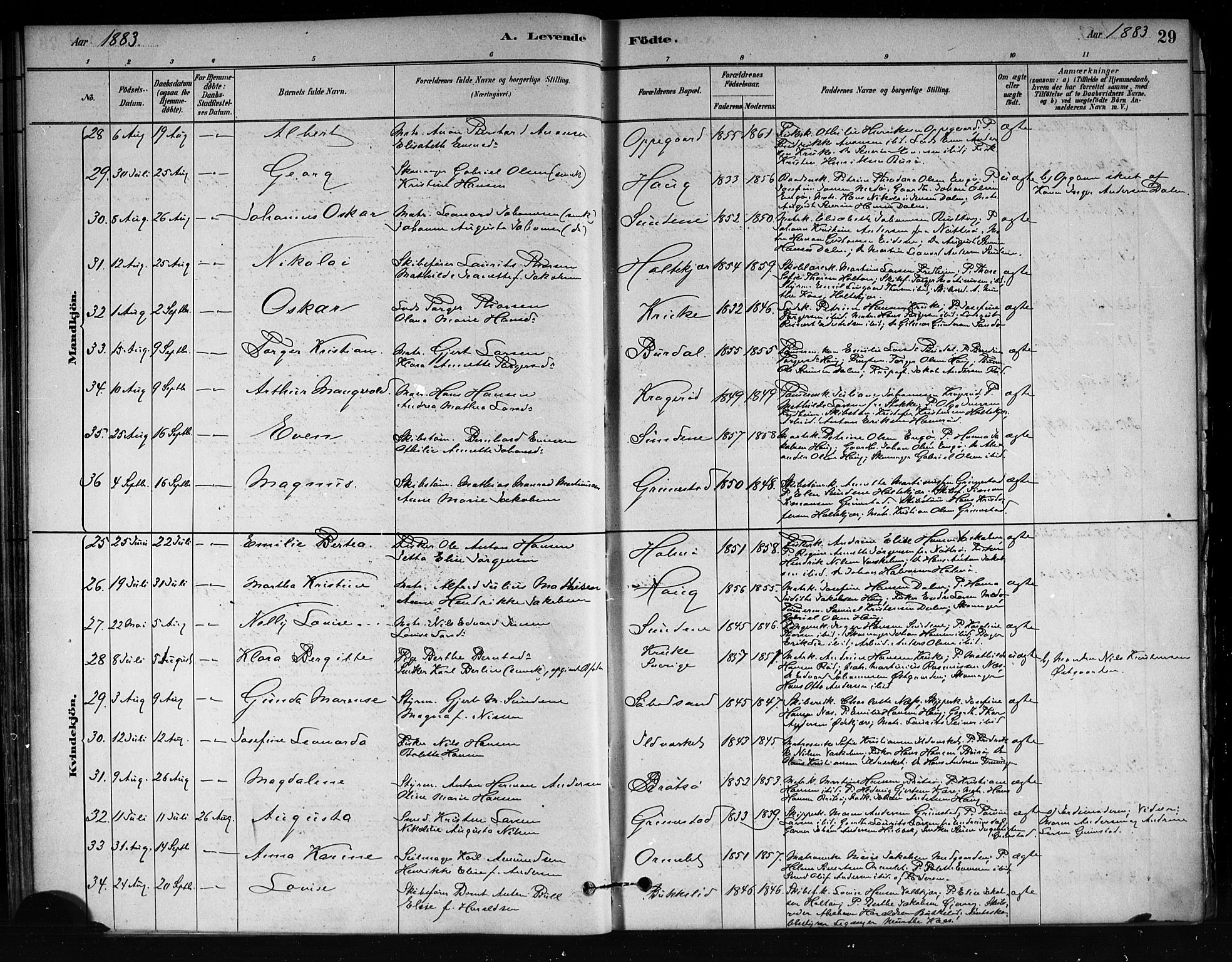 Tjøme kirkebøker, AV/SAKO-A-328/F/Fa/L0001: Parish register (official) no. I 1, 1879-1890, p. 29