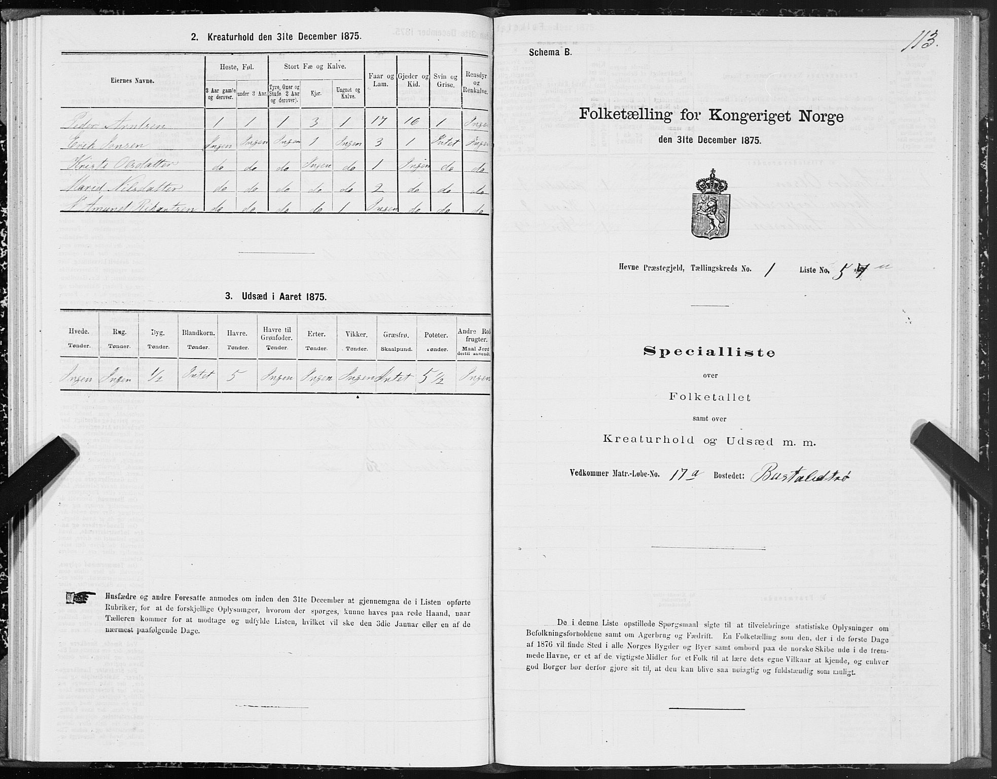 SAT, 1875 census for 1612P Hemne, 1875, p. 1113