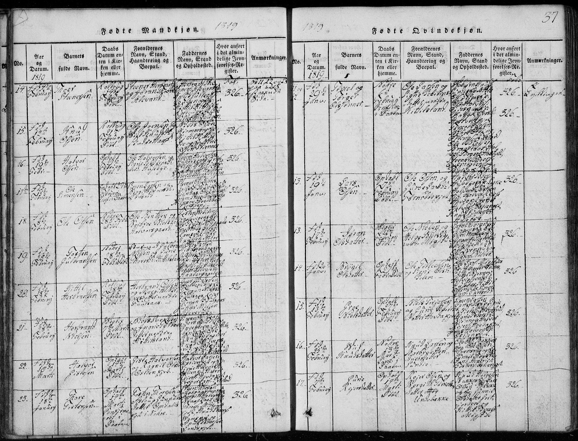 Rollag kirkebøker, AV/SAKO-A-240/G/Ga/L0001: Parish register (copy) no. I 1, 1814-1831, p. 37