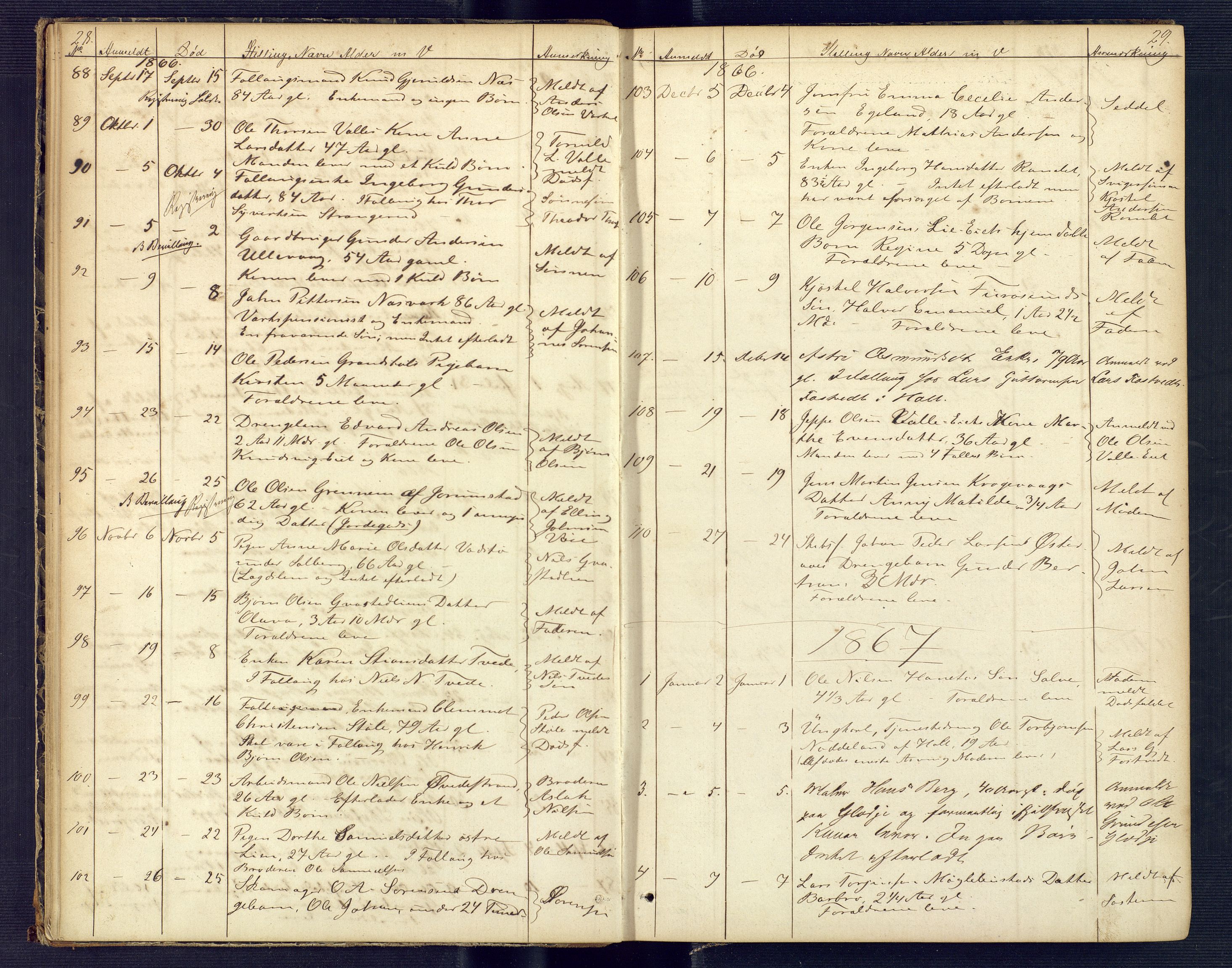 Holt sorenskriveri, AV/SAK-1221-0002/H/Ha/L0001: Dødsfallsprotokoll nr. 2, 1863-1882, p. 28-29