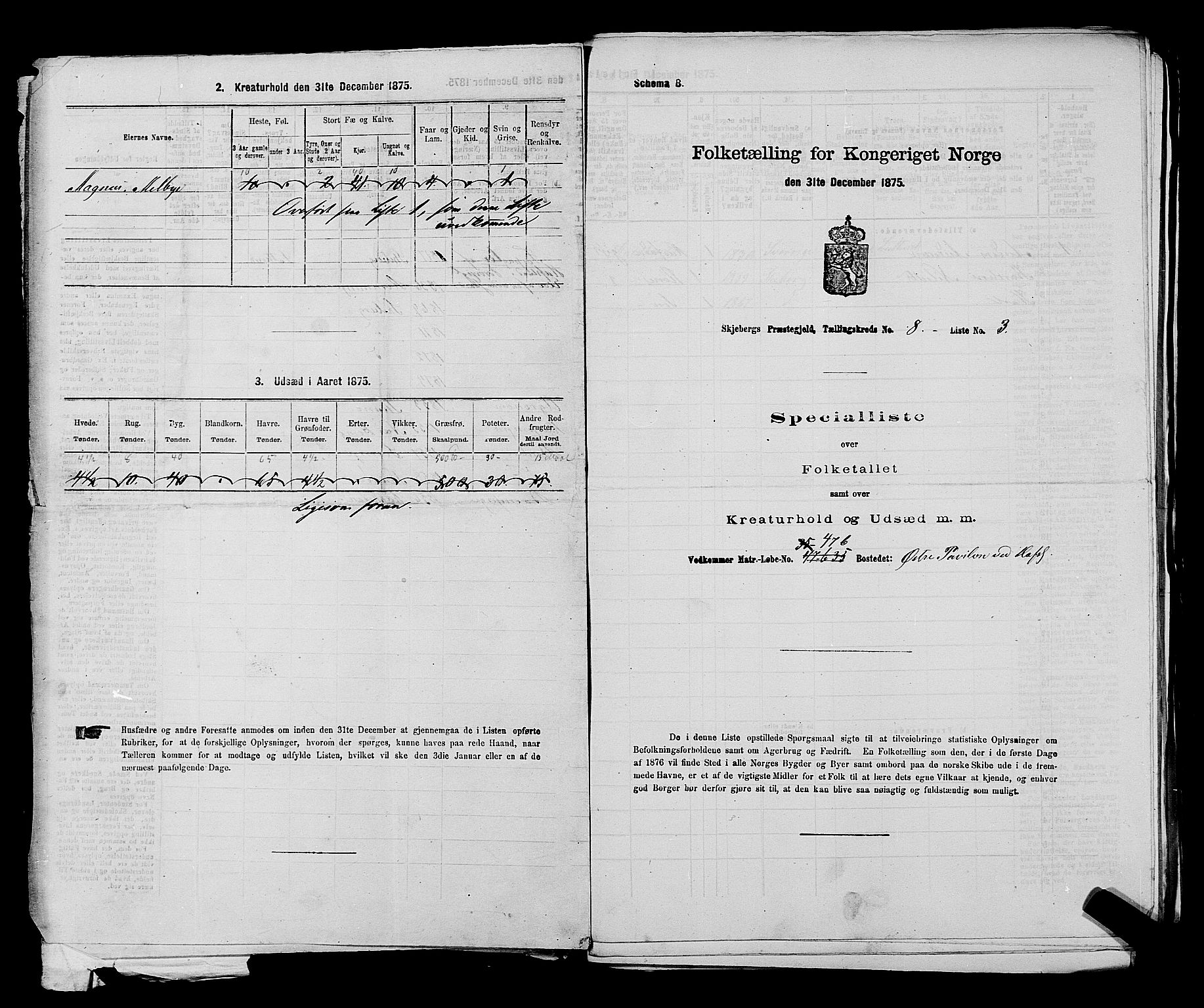 RA, 1875 census for 0115P Skjeberg, 1875, p. 1336