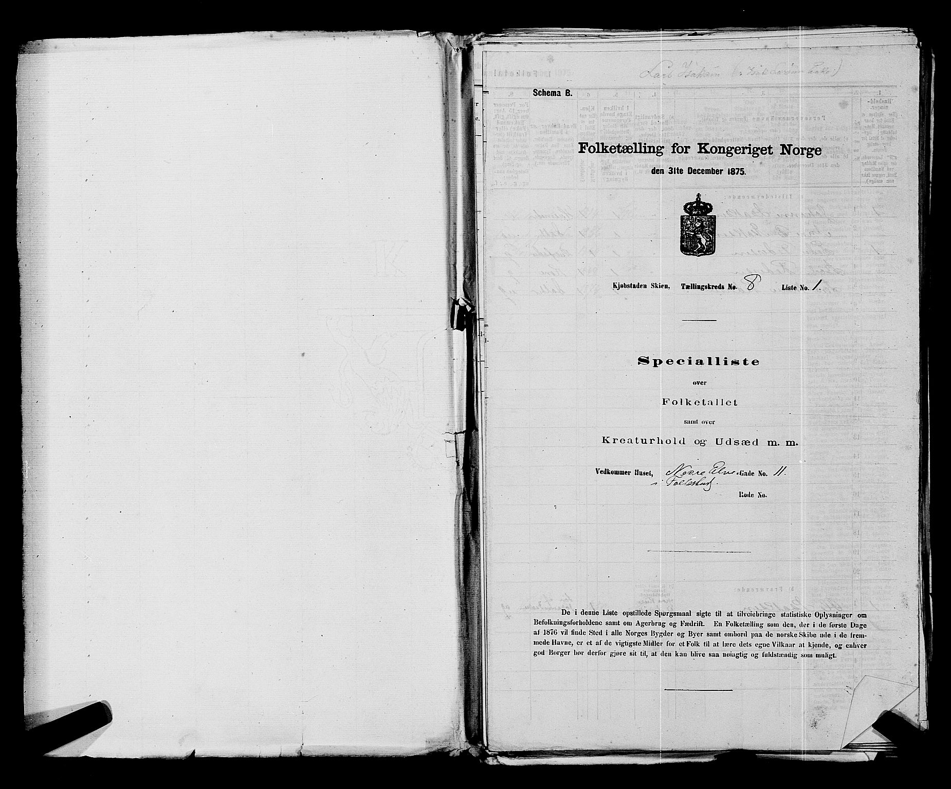 SAKO, 1875 census for 0806P Skien, 1875, p. 1253