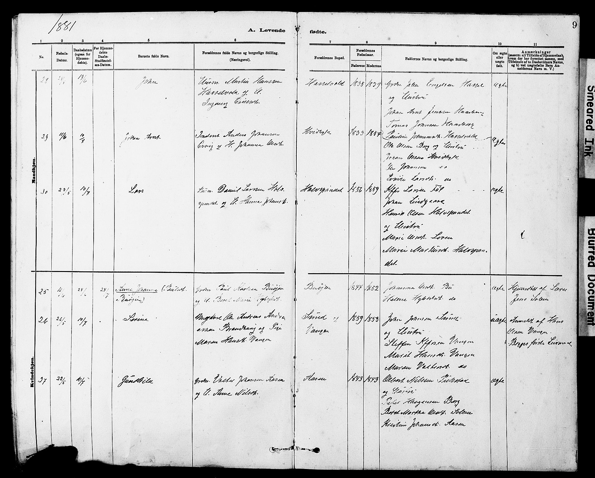 Ministerialprotokoller, klokkerbøker og fødselsregistre - Sør-Trøndelag, AV/SAT-A-1456/647/L0636: Parish register (copy) no. 647C01, 1881-1884, p. 9