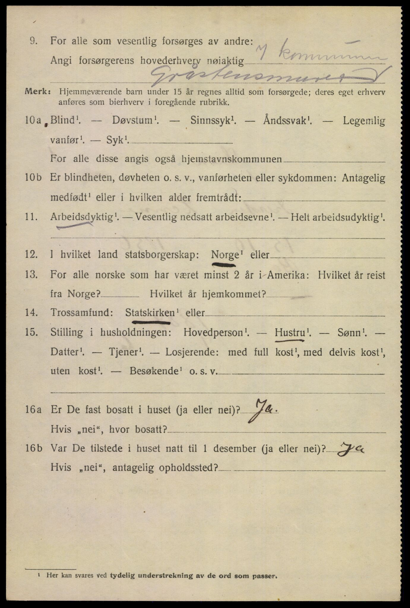 SAKO, 1920 census for Skien, 1920, p. 24263