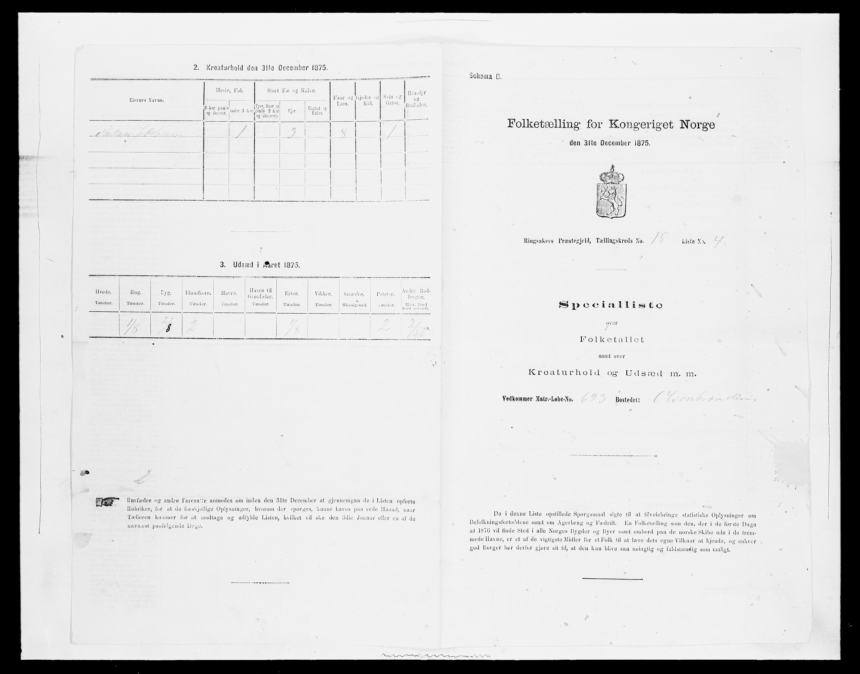 SAH, 1875 census for 0412P Ringsaker, 1875, p. 3038