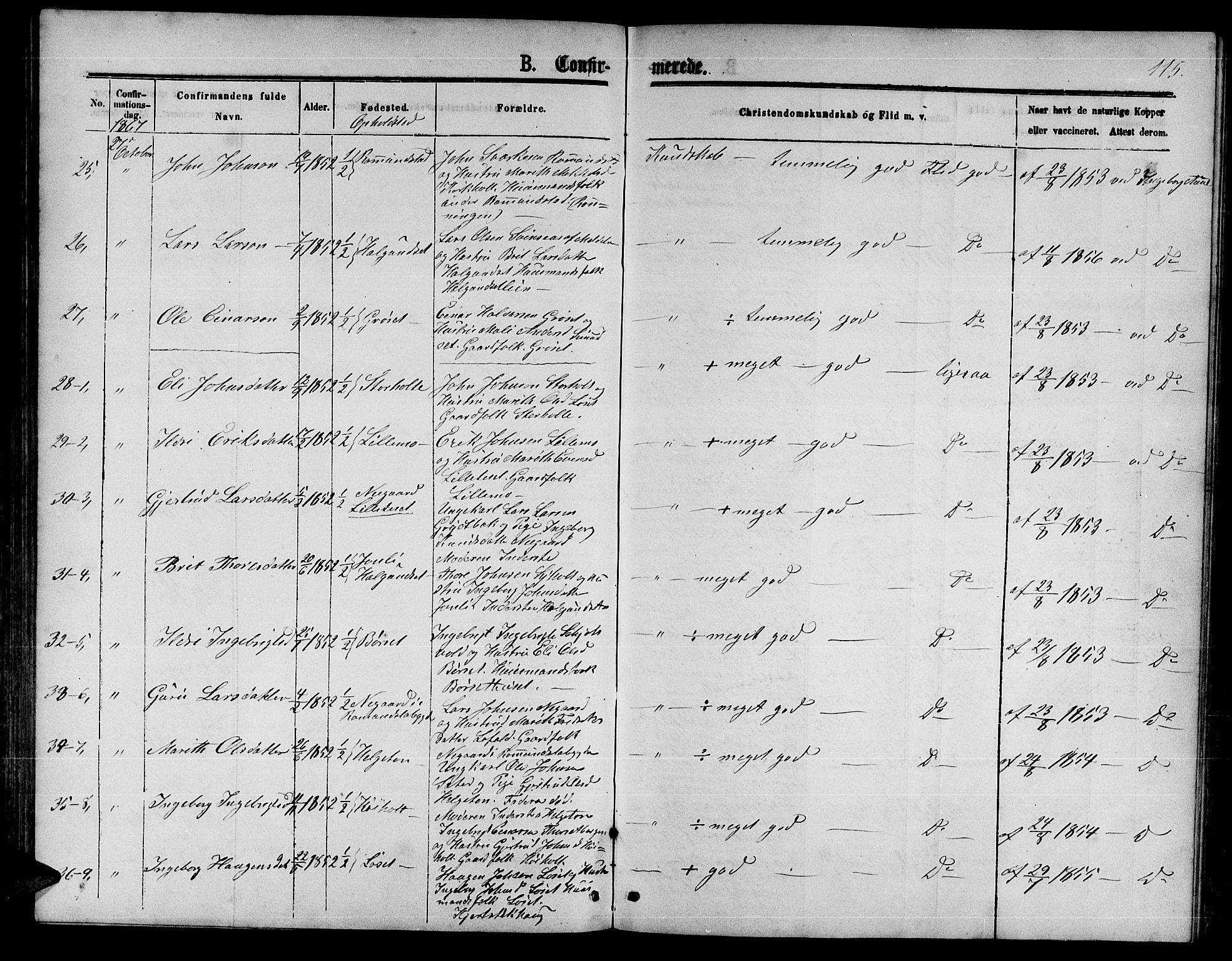 Ministerialprotokoller, klokkerbøker og fødselsregistre - Møre og Romsdal, AV/SAT-A-1454/598/L1076: Parish register (copy) no. 598C01, 1867-1878, p. 115