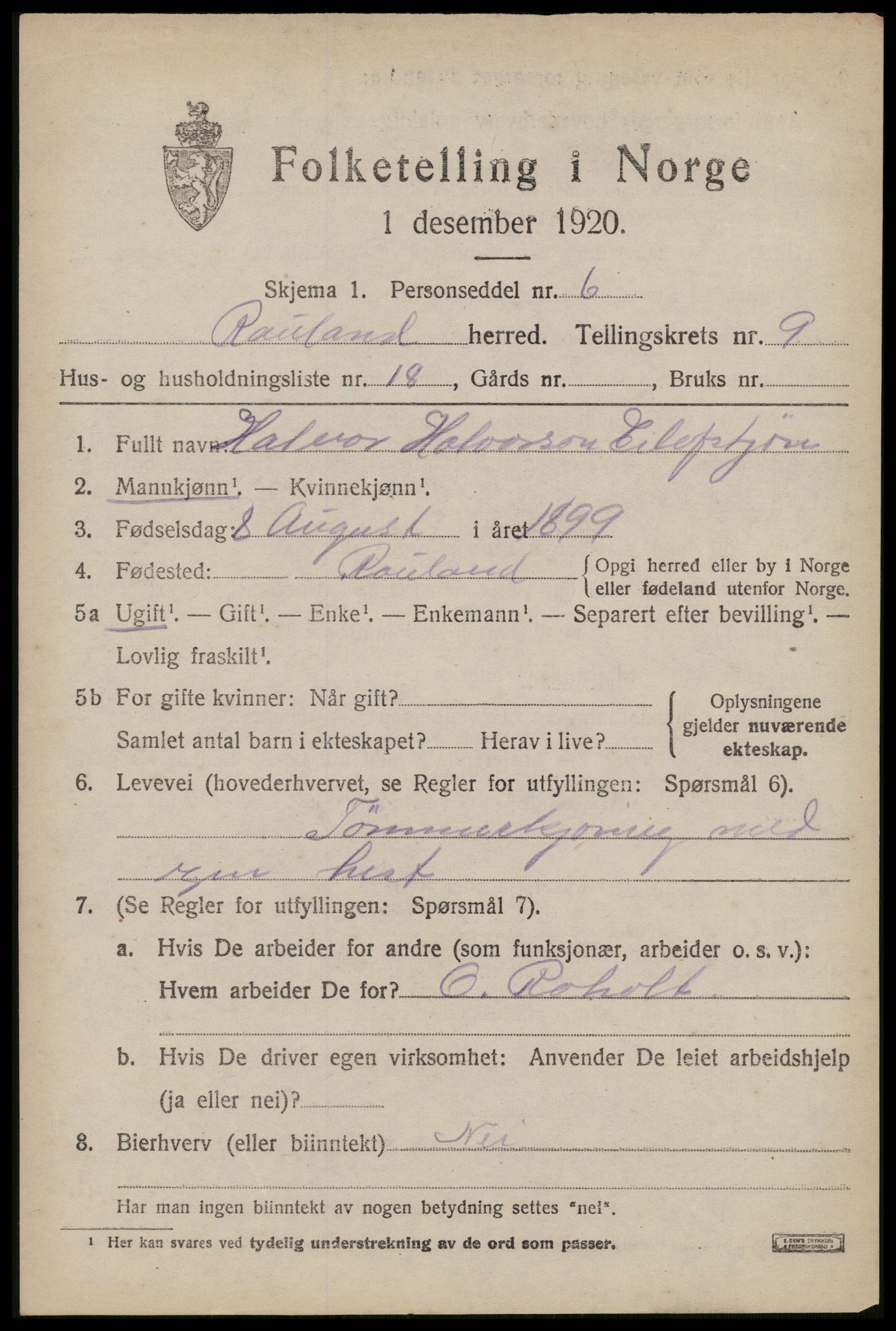 SAKO, 1920 census for Rauland, 1920, p. 2082