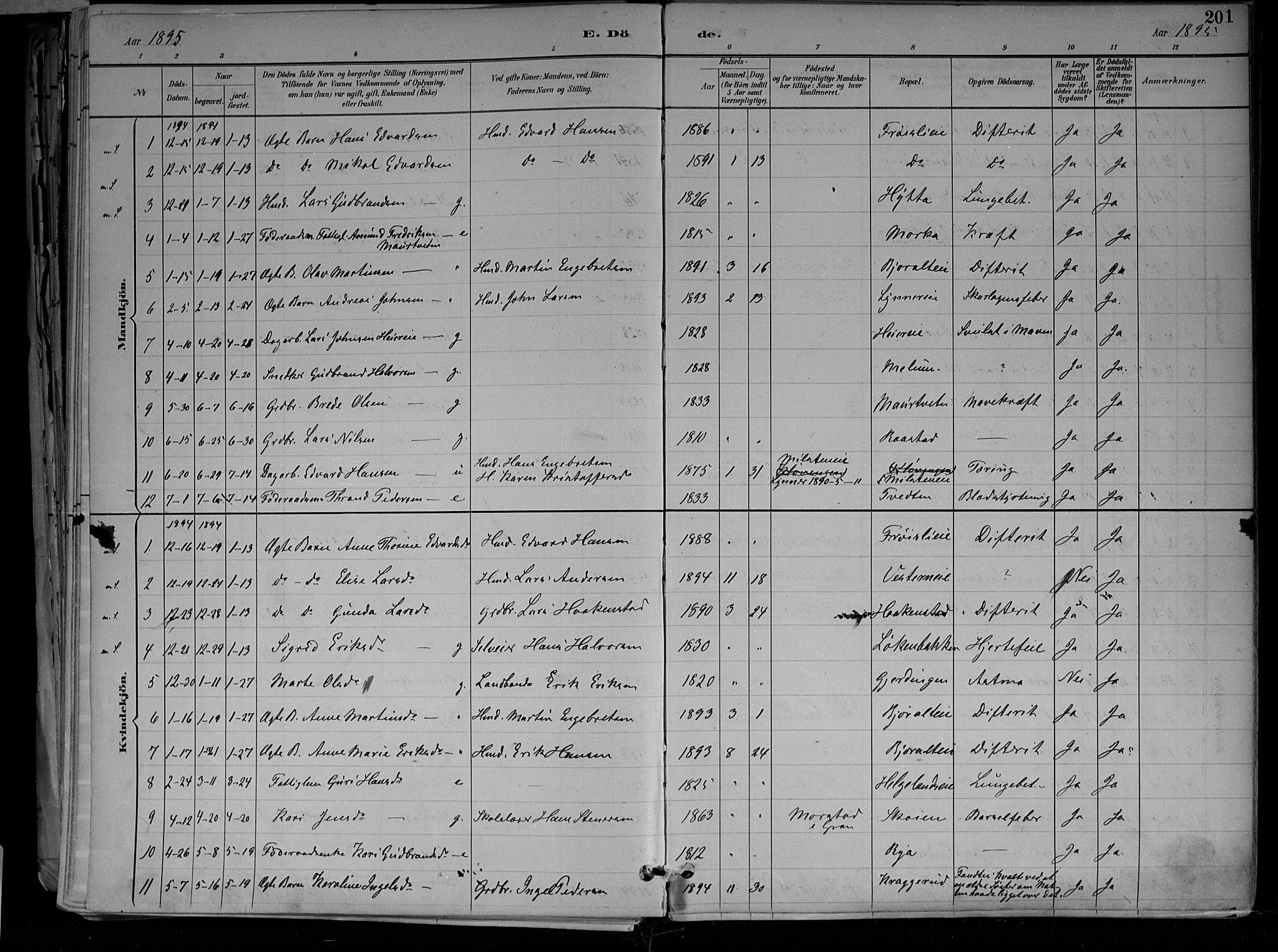 Jevnaker prestekontor, SAH/PREST-116/H/Ha/Haa/L0010: Parish register (official) no. 10, 1891-1906, p. 201