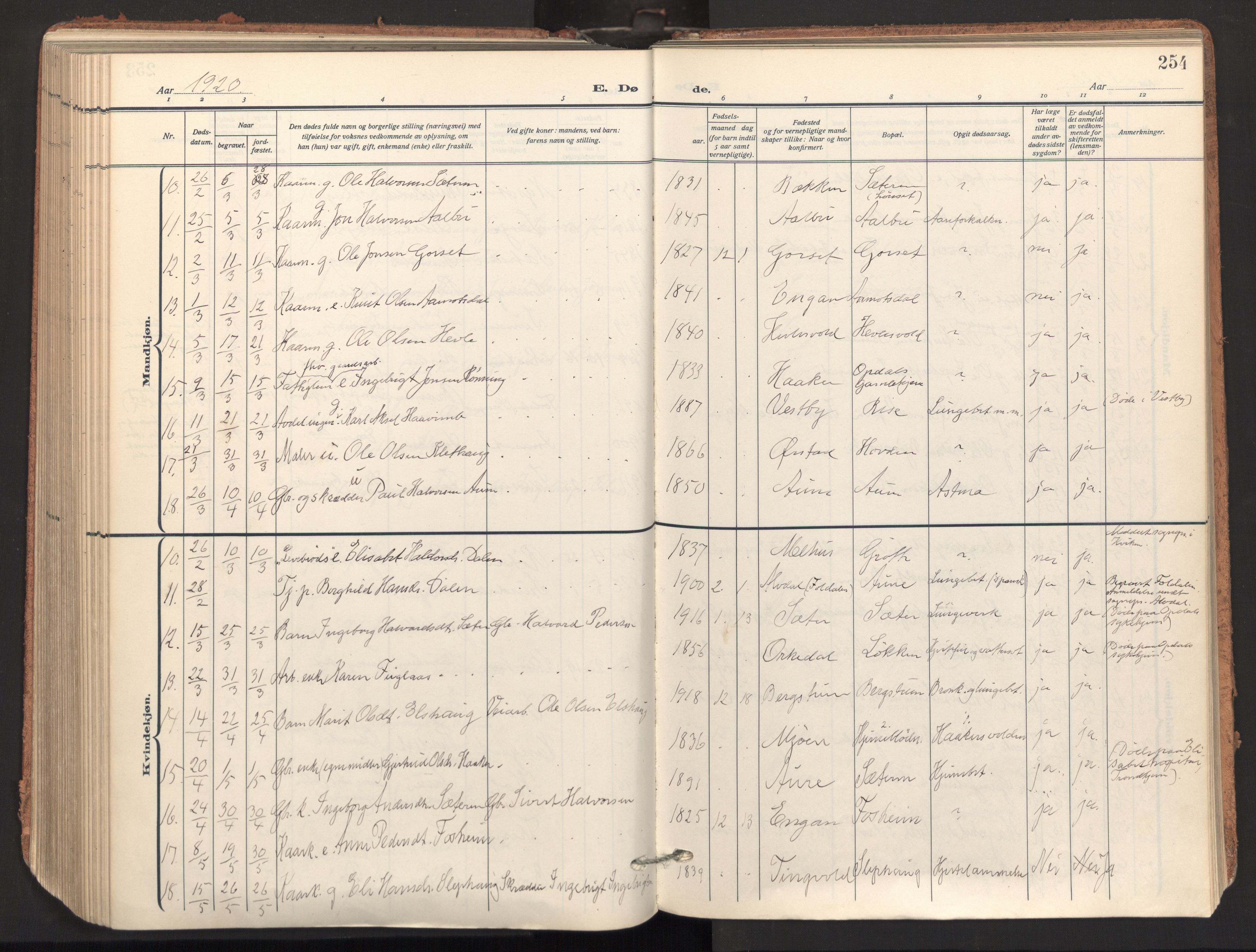 Ministerialprotokoller, klokkerbøker og fødselsregistre - Sør-Trøndelag, AV/SAT-A-1456/678/L0909: Parish register (official) no. 678A17, 1912-1930, p. 254