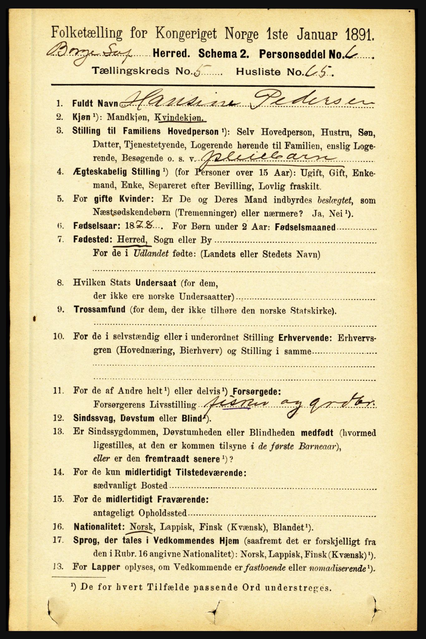 RA, 1891 census for 1862 Borge, 1891, p. 3451