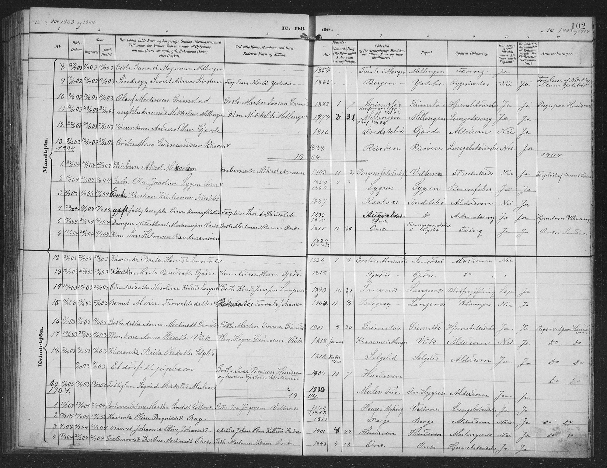 Alversund Sokneprestembete, SAB/A-73901/H/Ha/Hab: Parish register (copy) no. B 4, 1897-1914, p. 102